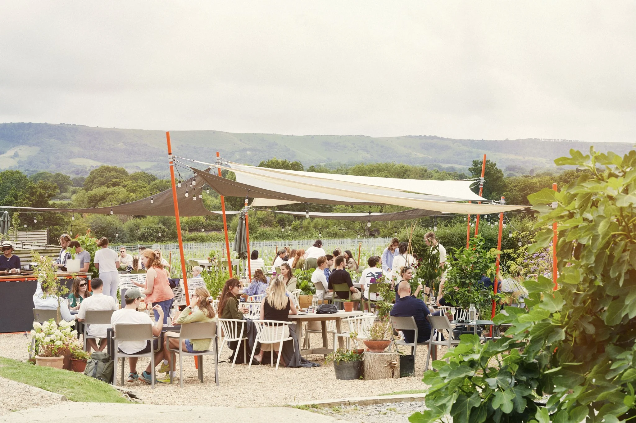 The Artelium terrace 