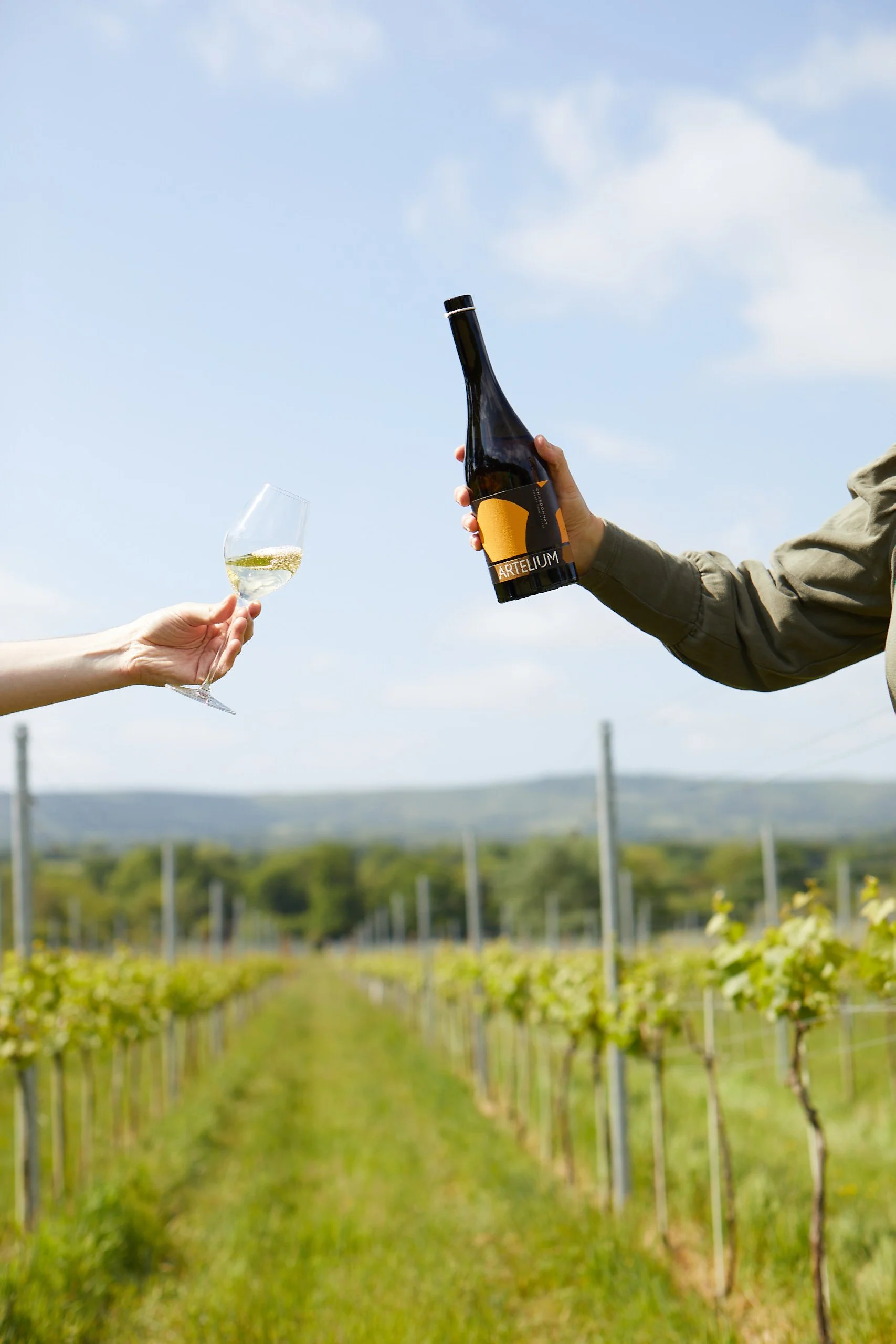 Artelium chardonnay bottle and glass in front of vineyard with blue sky 