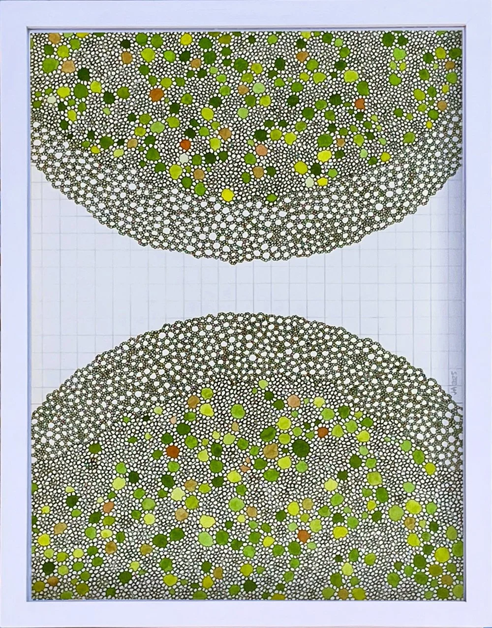 Judith Alder,  Not Like Fibonacci: Bundles