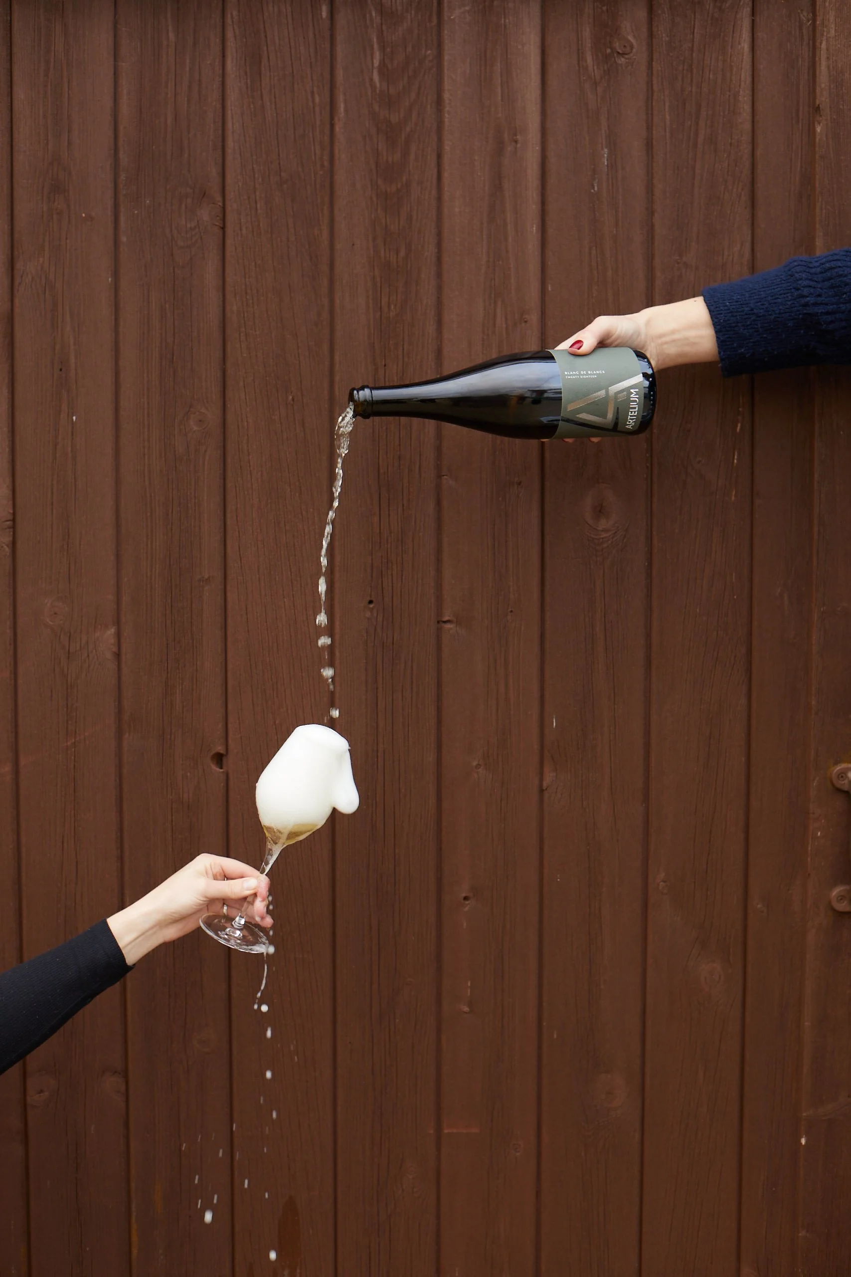 Artelium Blanc de Blancs 2018 pour 