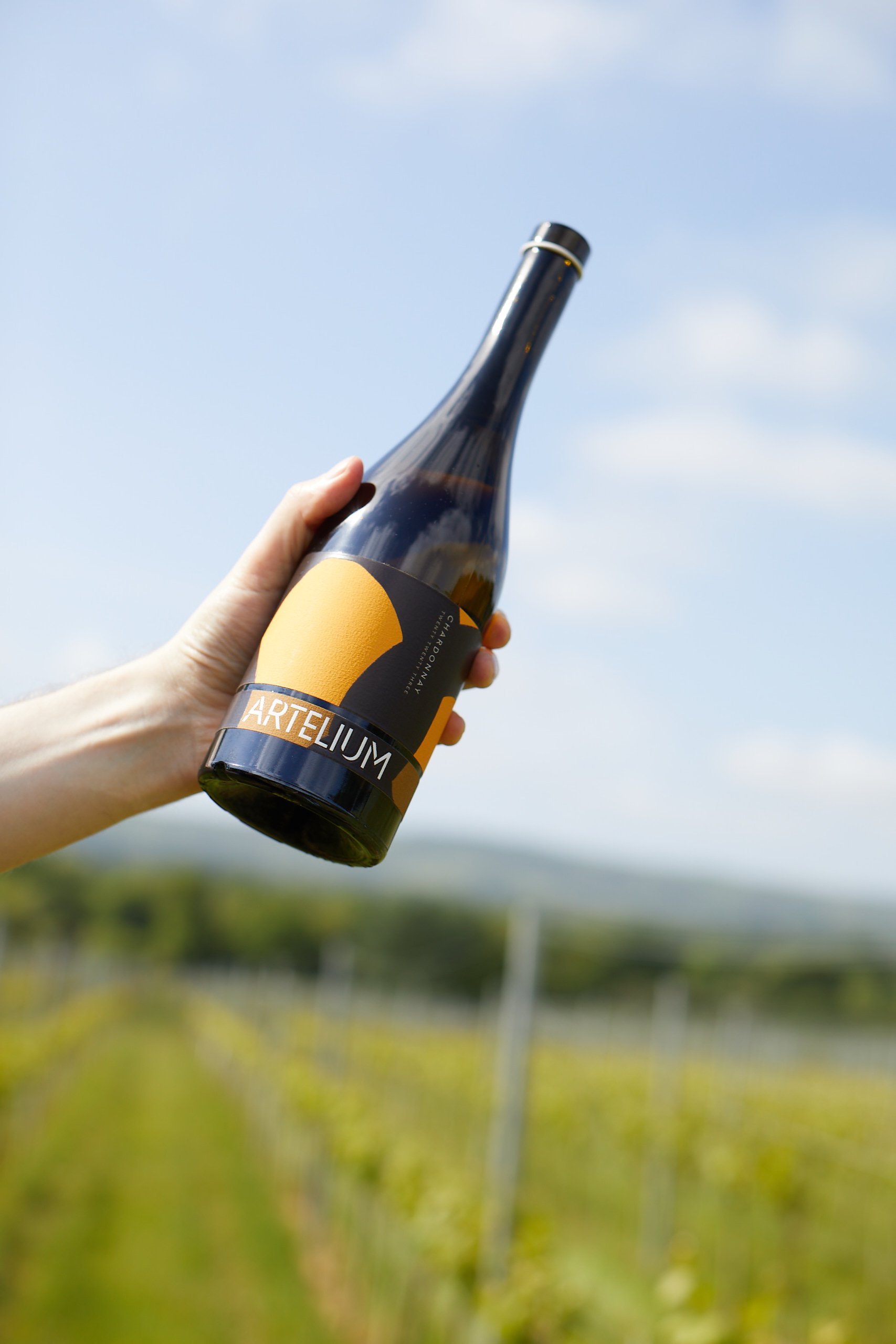 Artelium English chardonnay in front of blue sky