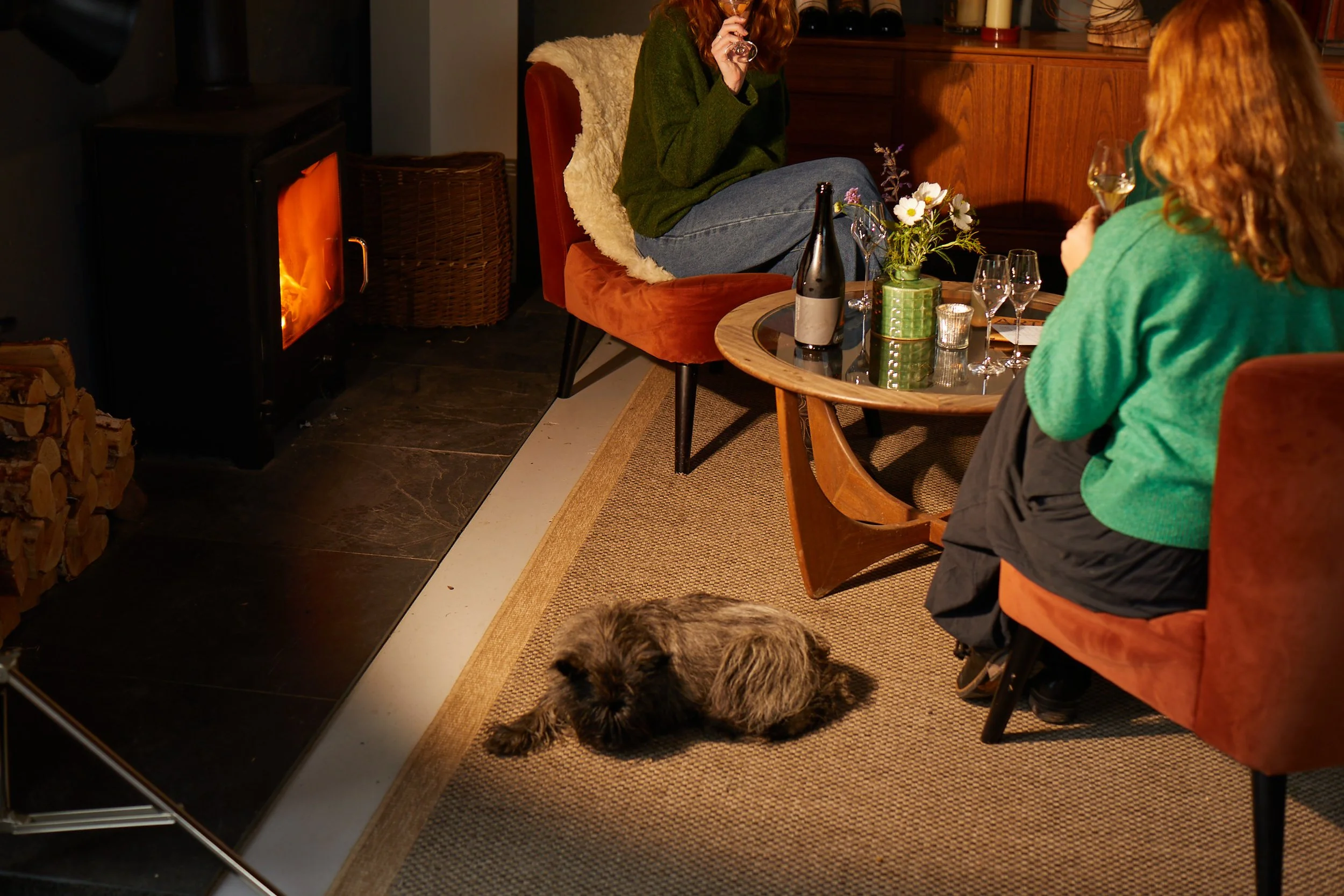 A cozy living room scene with two women sitting on orange and green armchairs, holding glasses of wine, near a table with a bottle and wine glasses. A small, fluffy dog is lying on the carpet near a fireplace with a stack of firewood to the left.