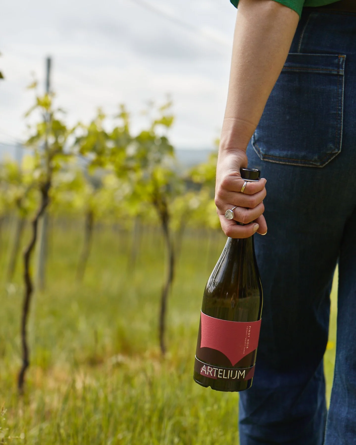 Artelium Pinot Noir 2023 with vines in the background 