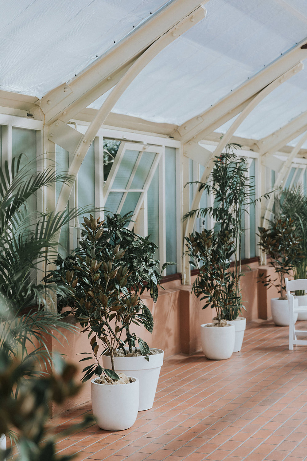 pot plants for wedding styling sydney