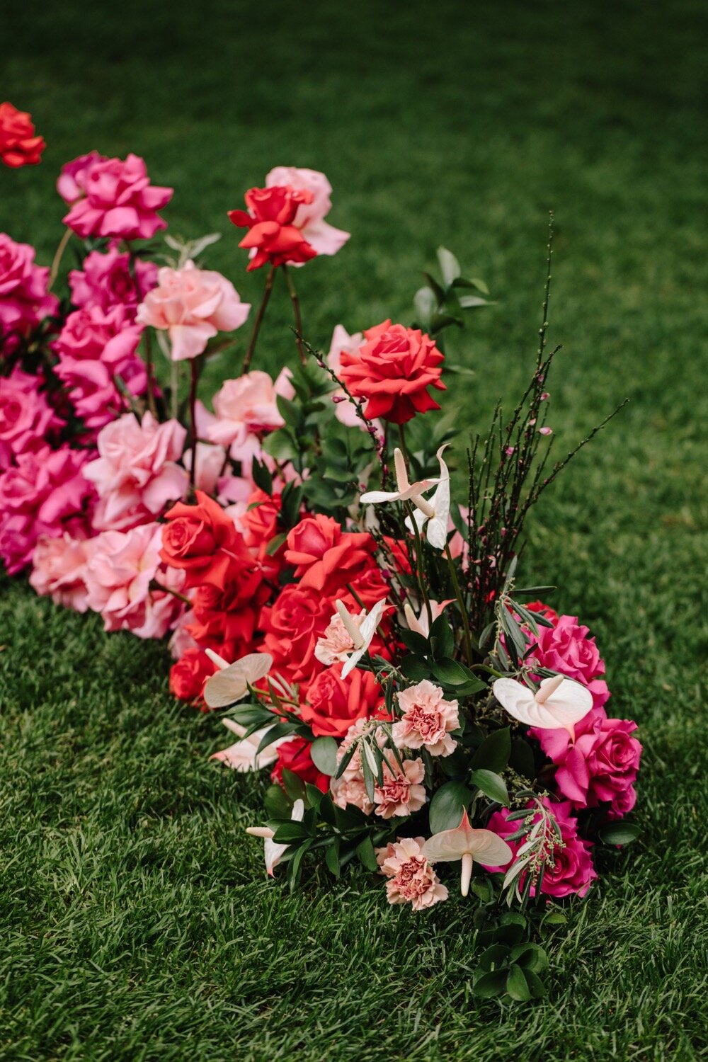 reflexed roses colour block sydney ceremony wedding