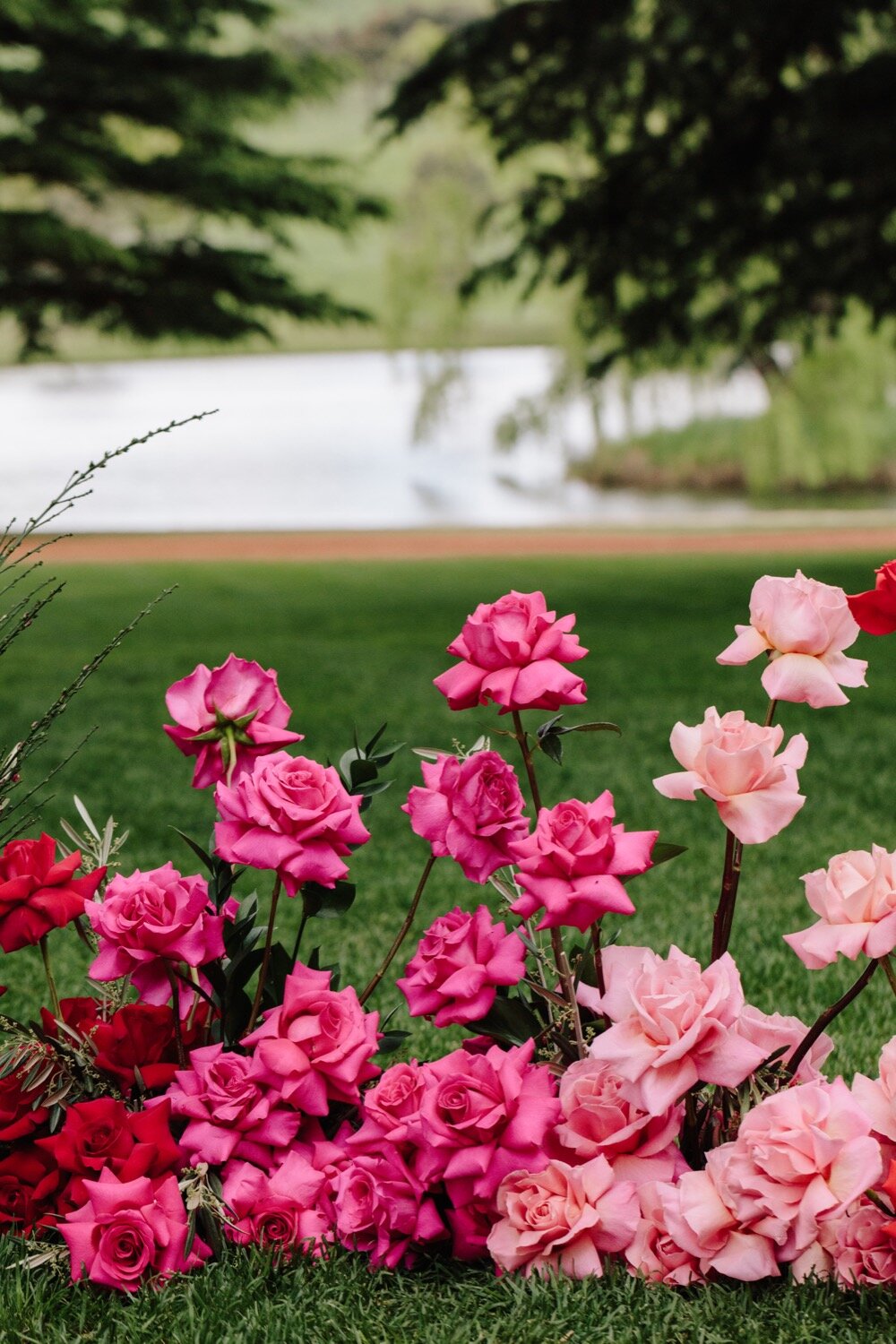 roses ceremony floral design bendooley