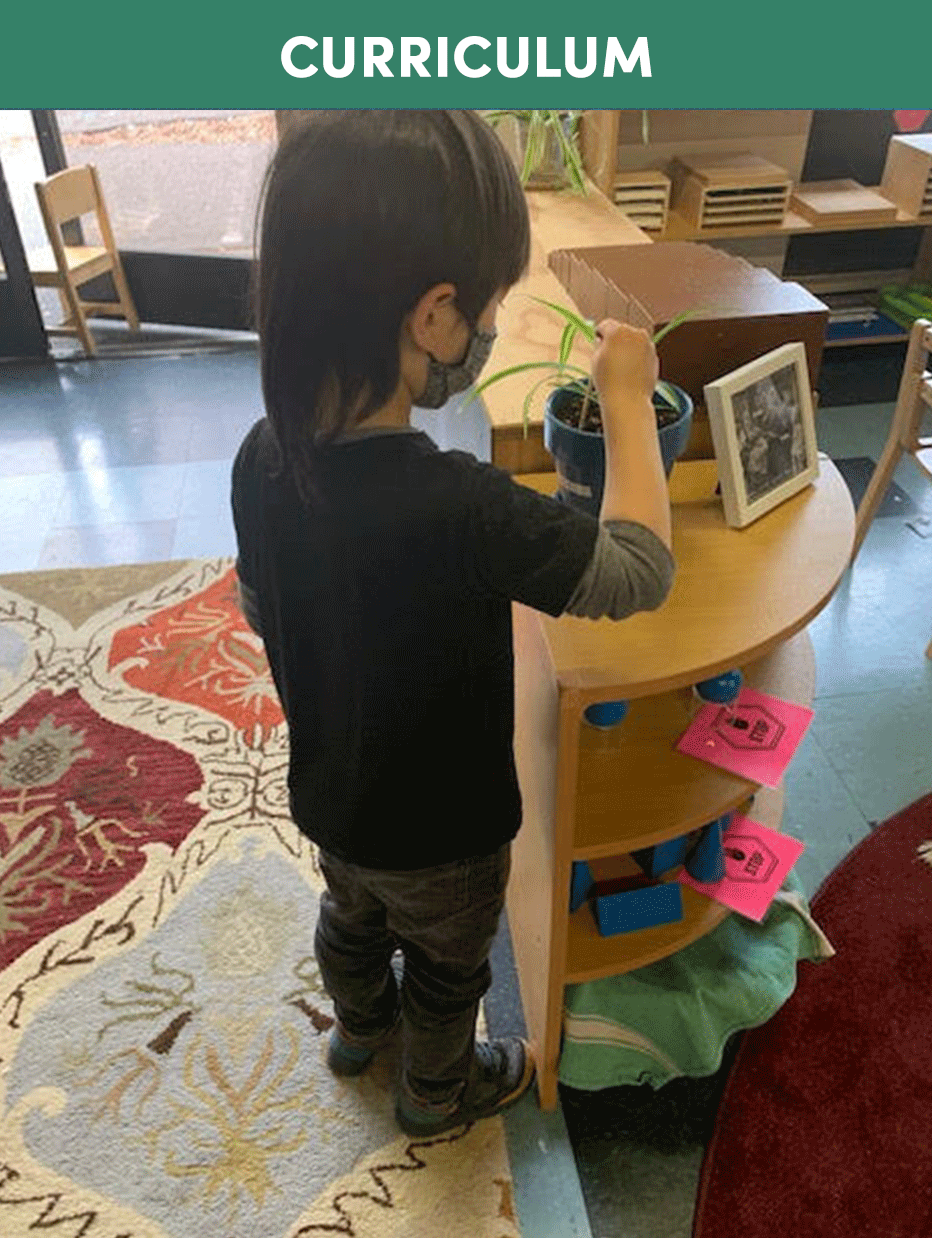 Home-Curriculum.gif