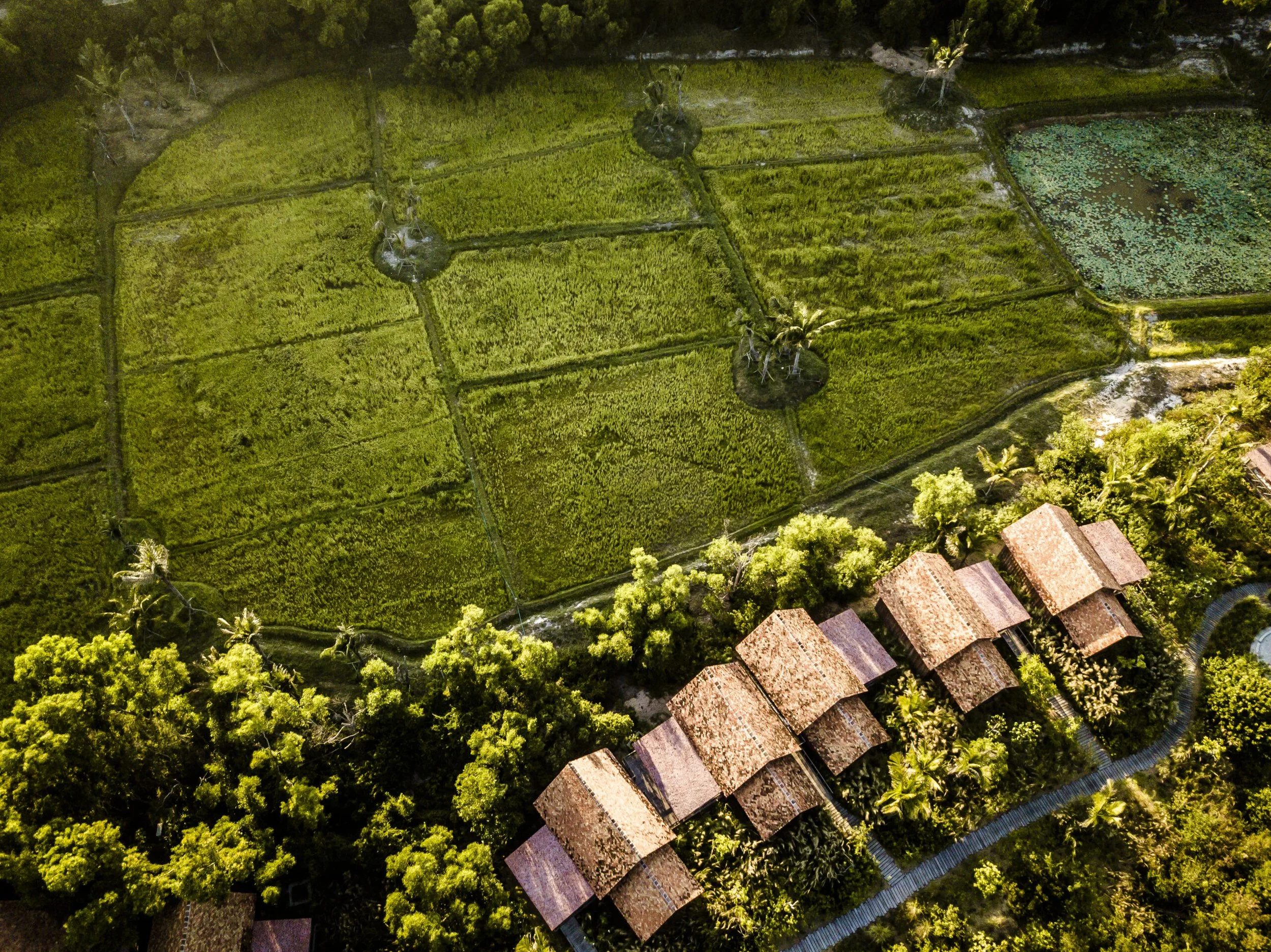 Zannier-Hotels-Bãi-San-Hô-Rice-Paddies-5-©️-Frederik-Wissink-for-Zannier-Hotels-scaled.jpg