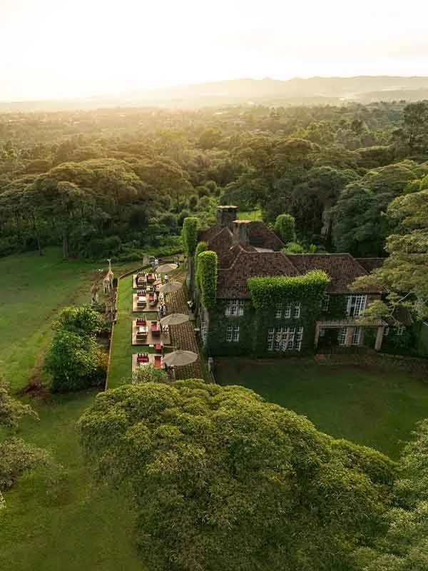 Giraffe-Activities-Arial-view-of-tea-on-the-lawn.jpg