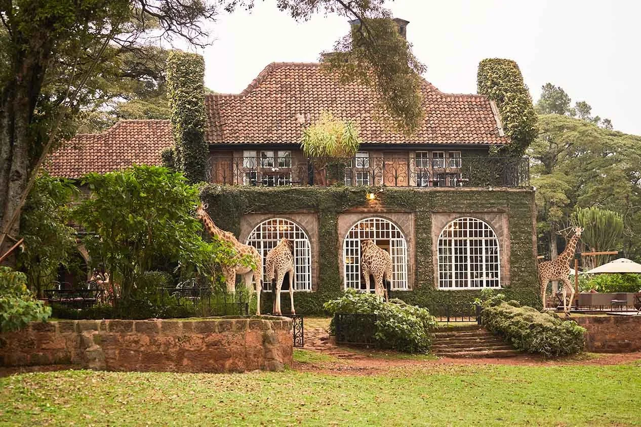 Giraffe-Manor-Girrafes-visiting-at-breakfast.jpg