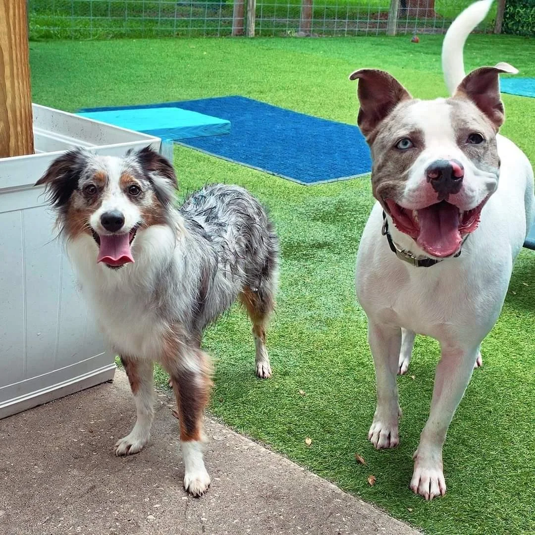 IMG_20250401_141441_168 (2).jpg