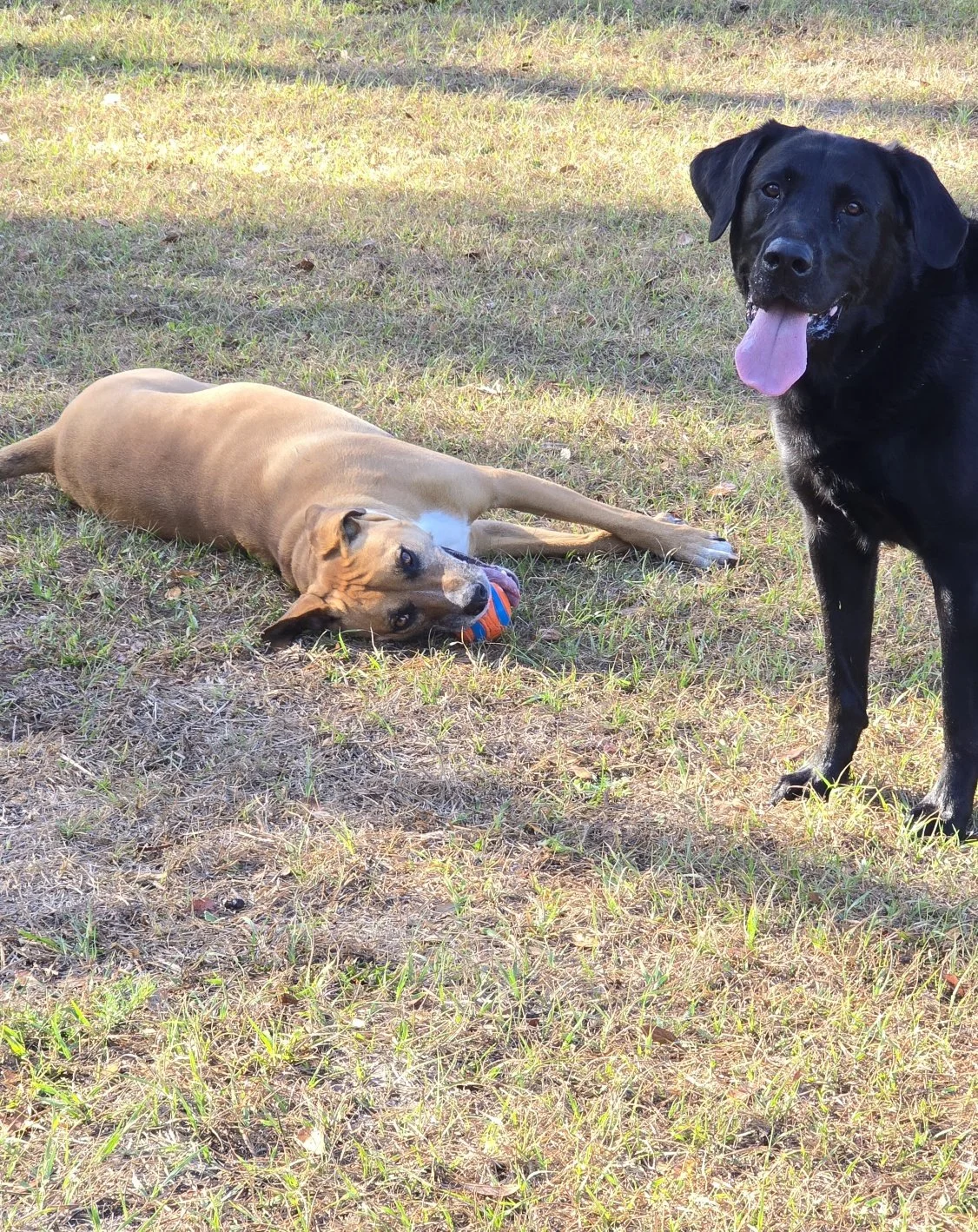 Resized_20260305_085634(0) (1).jpeg