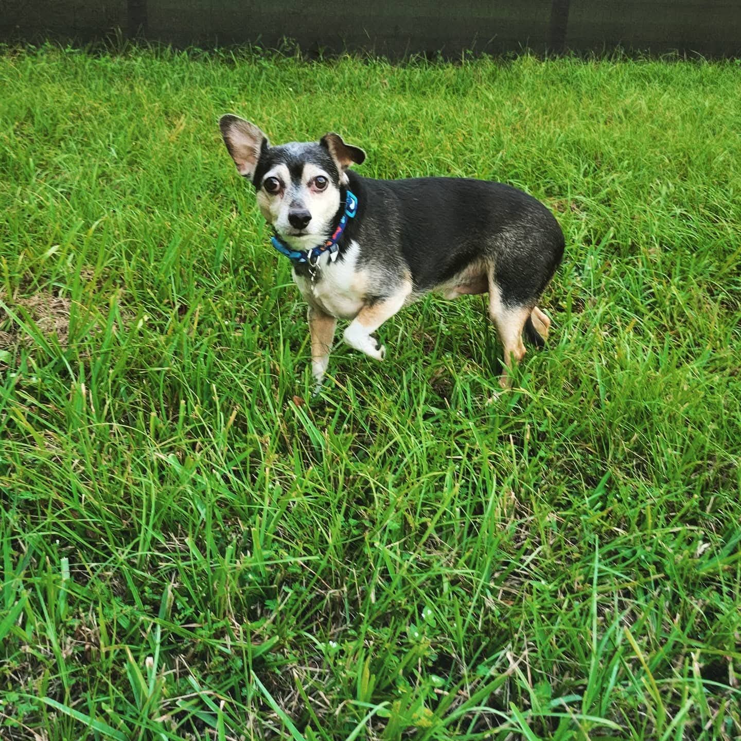 FB_IMG_1773801593081 (1).jpg