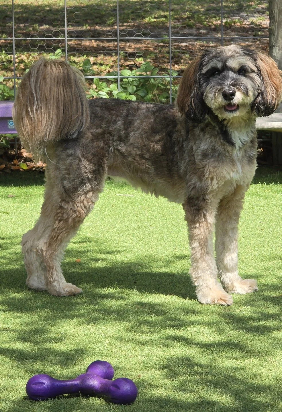 Resized_20260317_125429 (1).jpeg