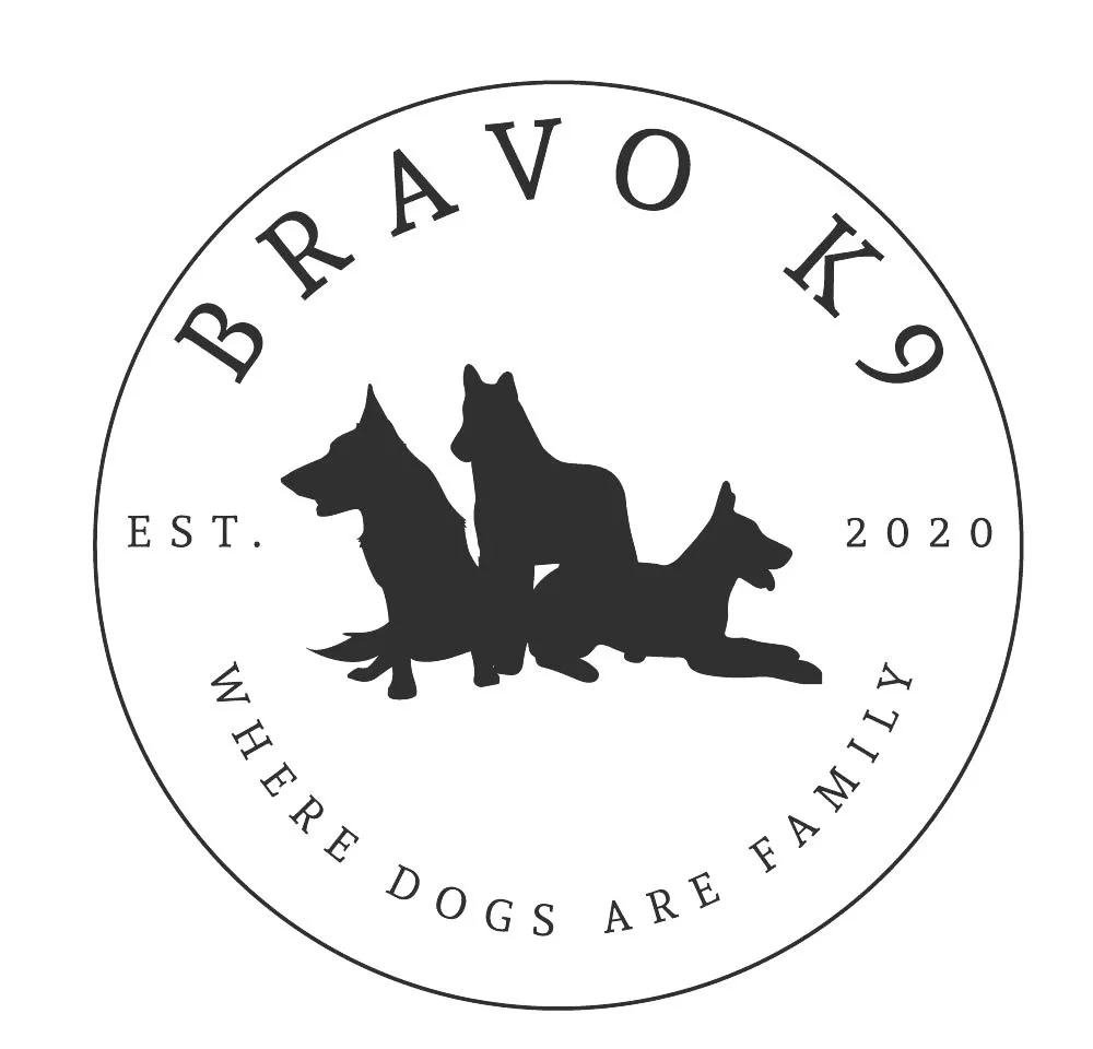 Bravo K9 Tampa