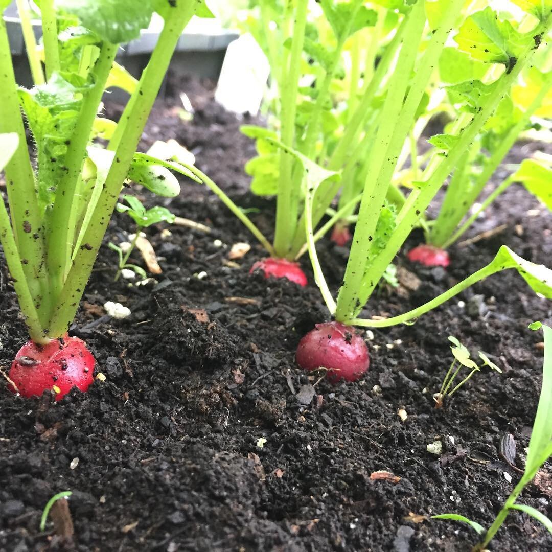 Get Your Grow On