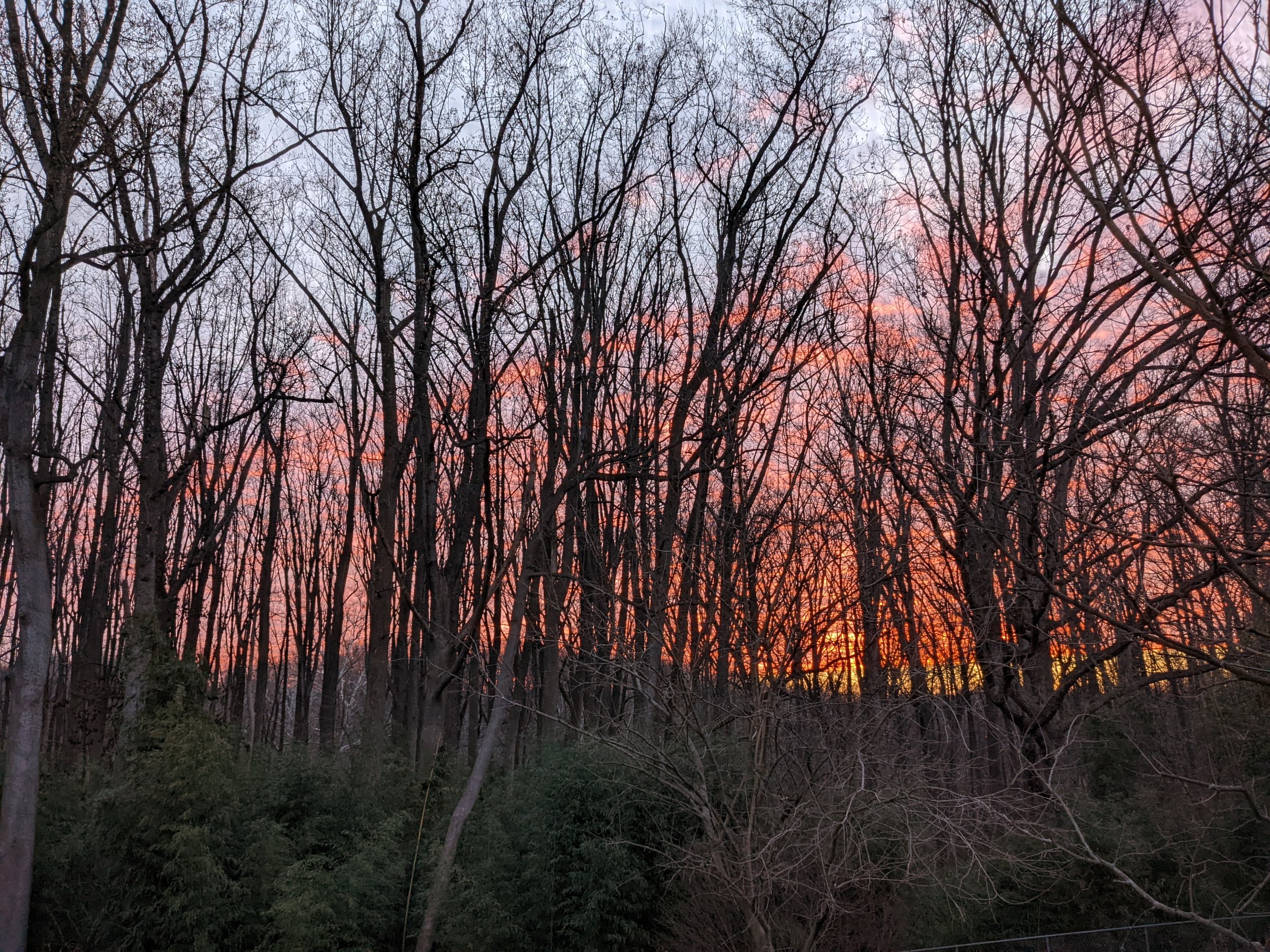 The Sun Always Rises