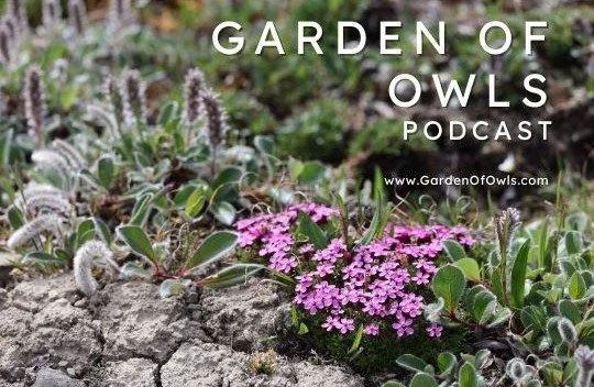 We’re evolving! Podcast coming soon!