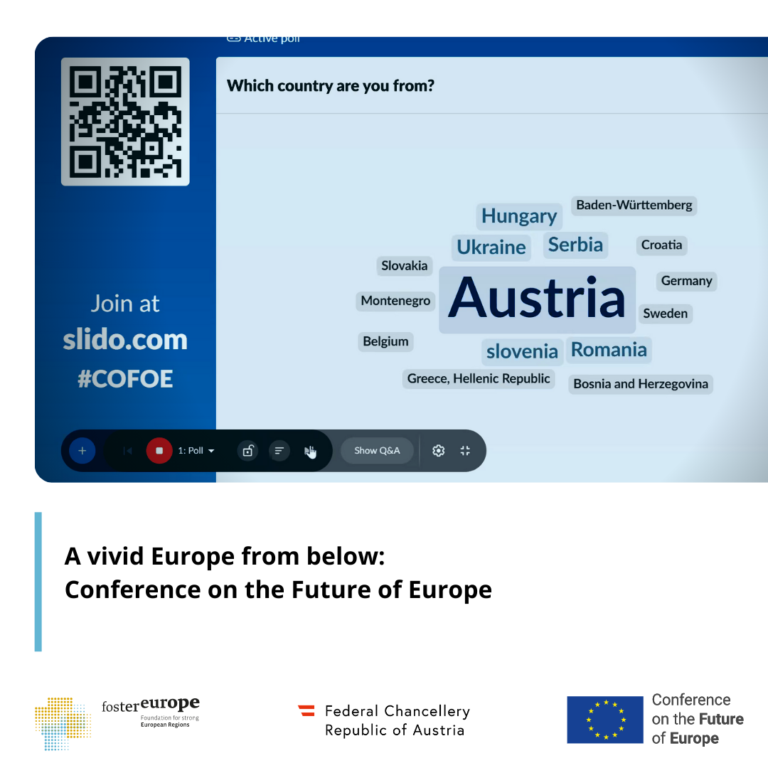 Conference on the Future of Europe-A vivid Europe from below7.png