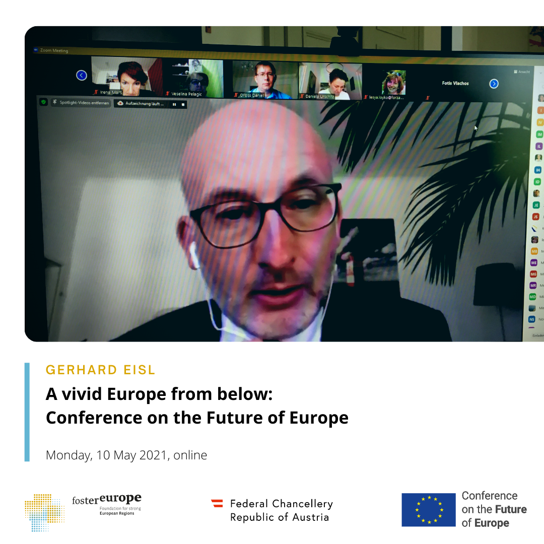 Conference on the Future of Europe-A vivid Europe from below3.png