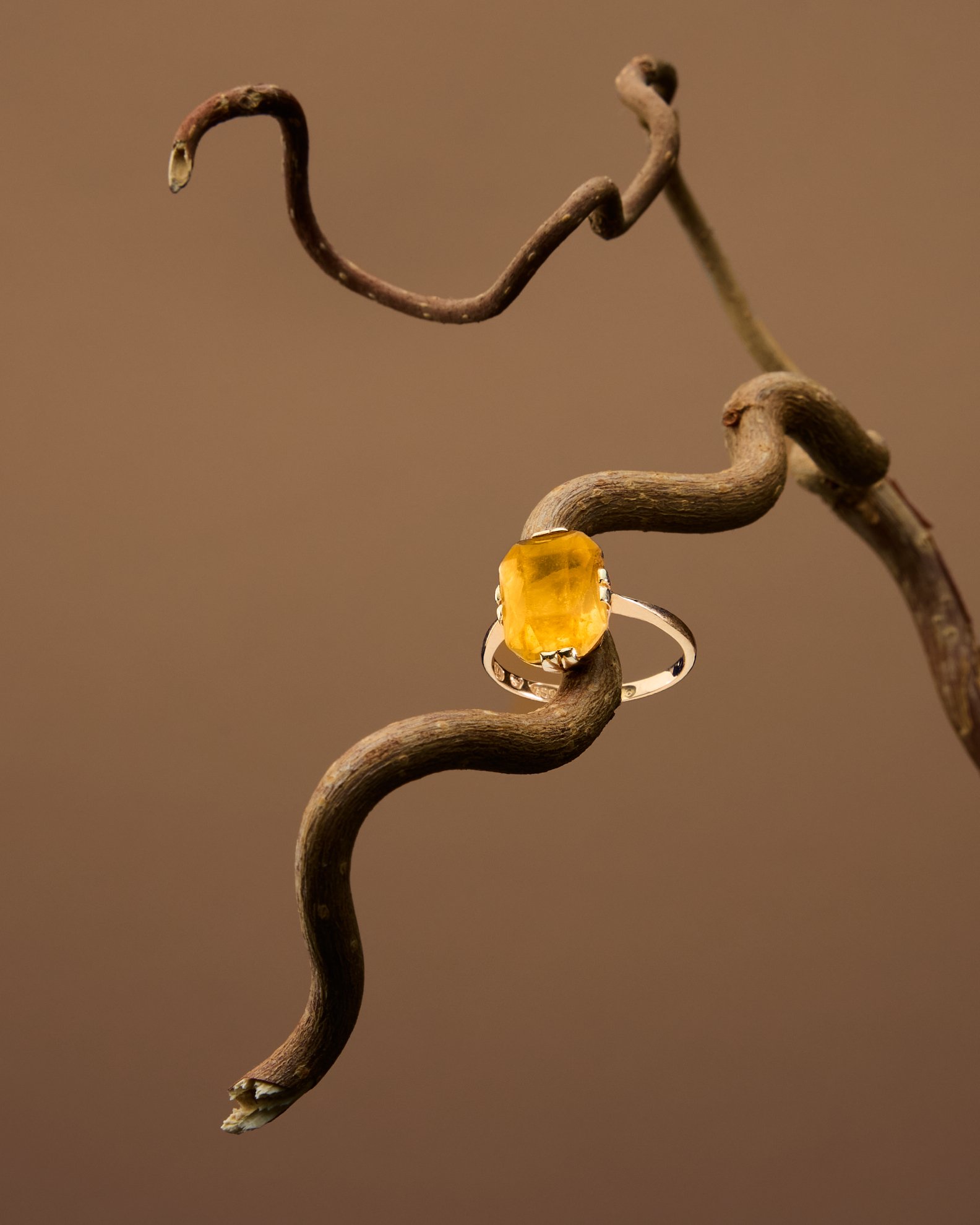 Sormukset_030626_1264.jpg