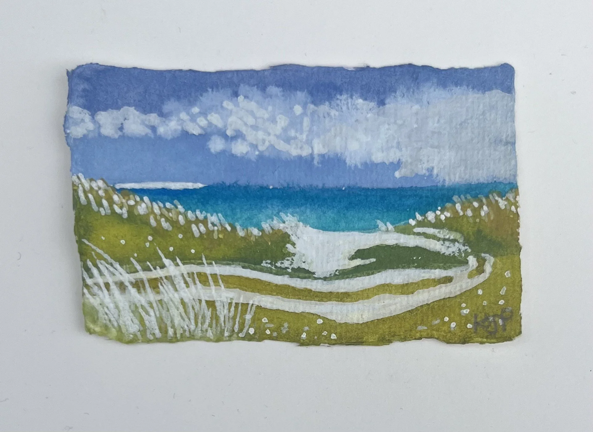 TT2_Wriggly paths at Caolis.jpg