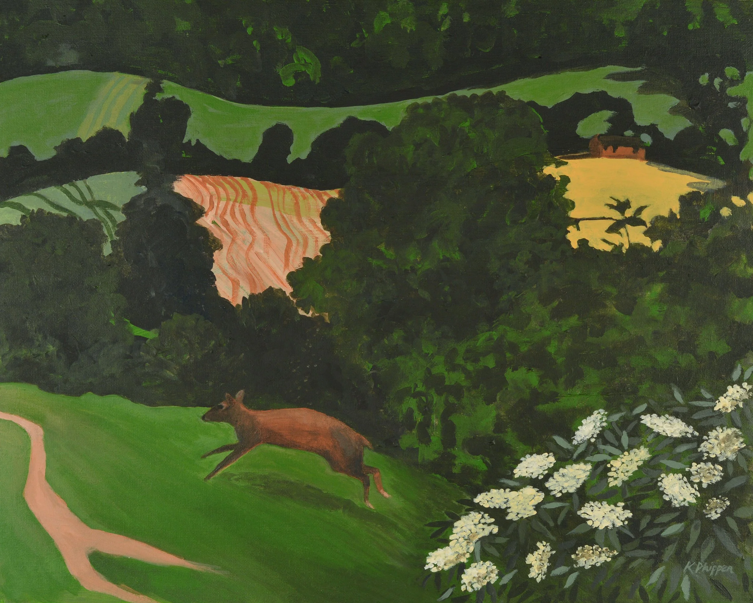 Muntjac, Slad Summer