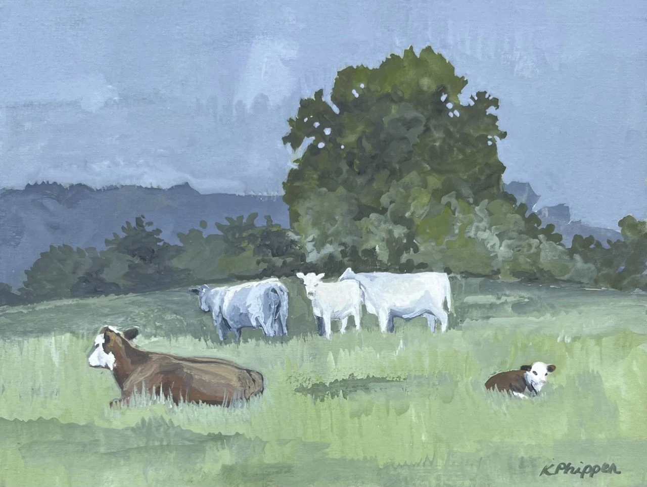 Cow Pastures