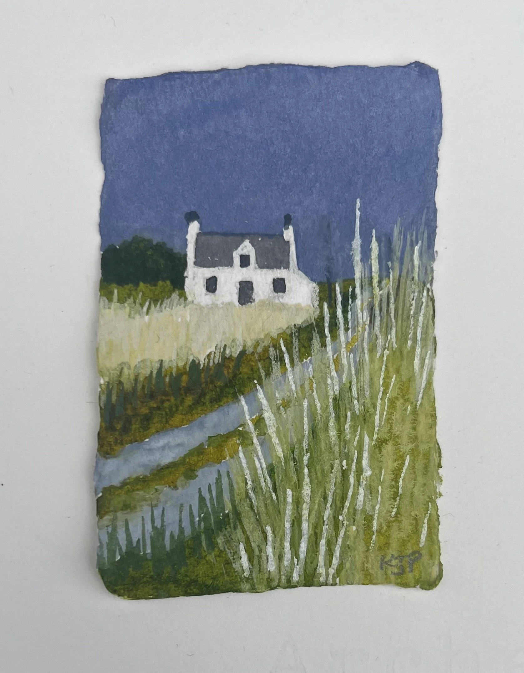 Windy Grasses, Tiree Lane