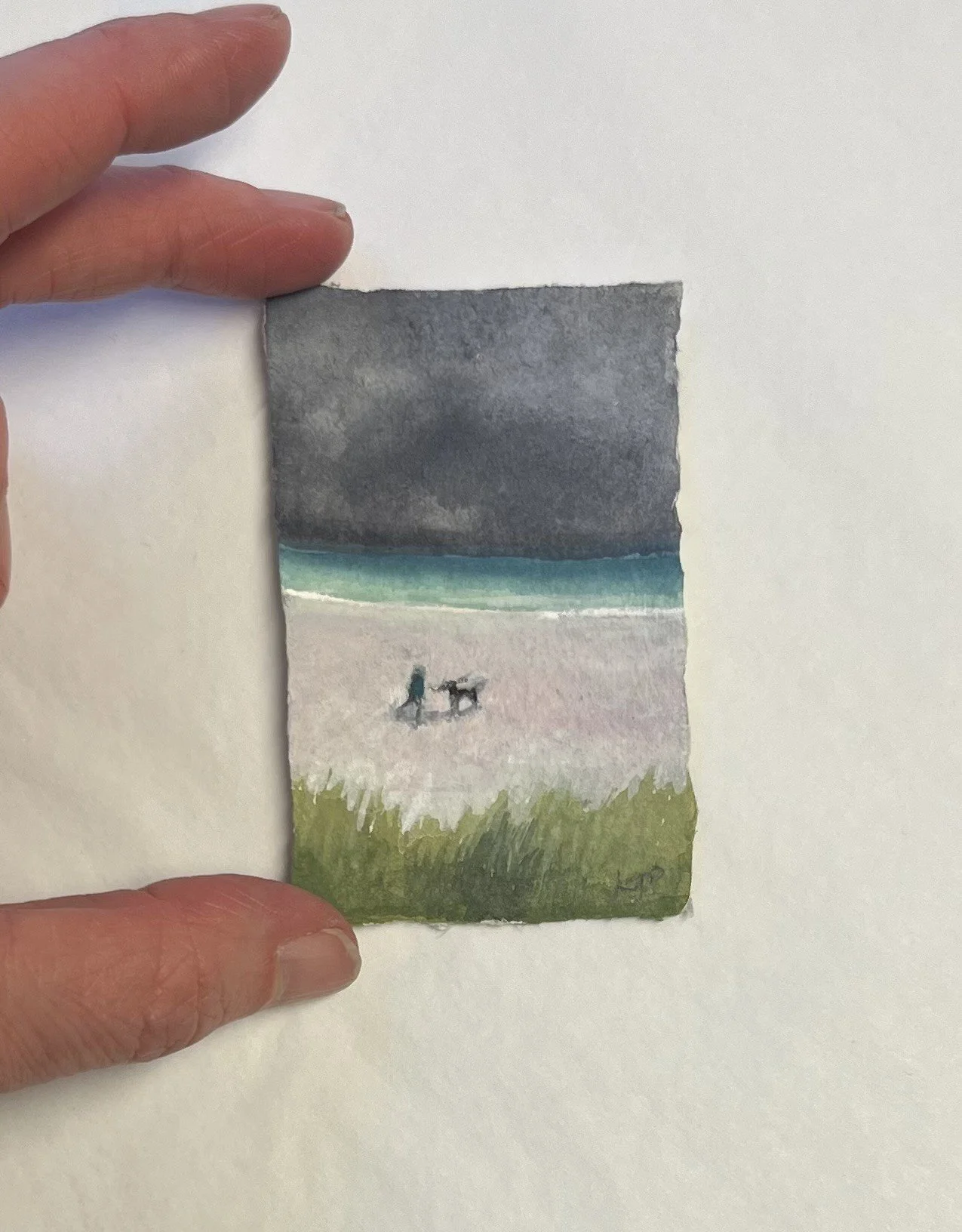 Throw the Stick, Tiree Beach