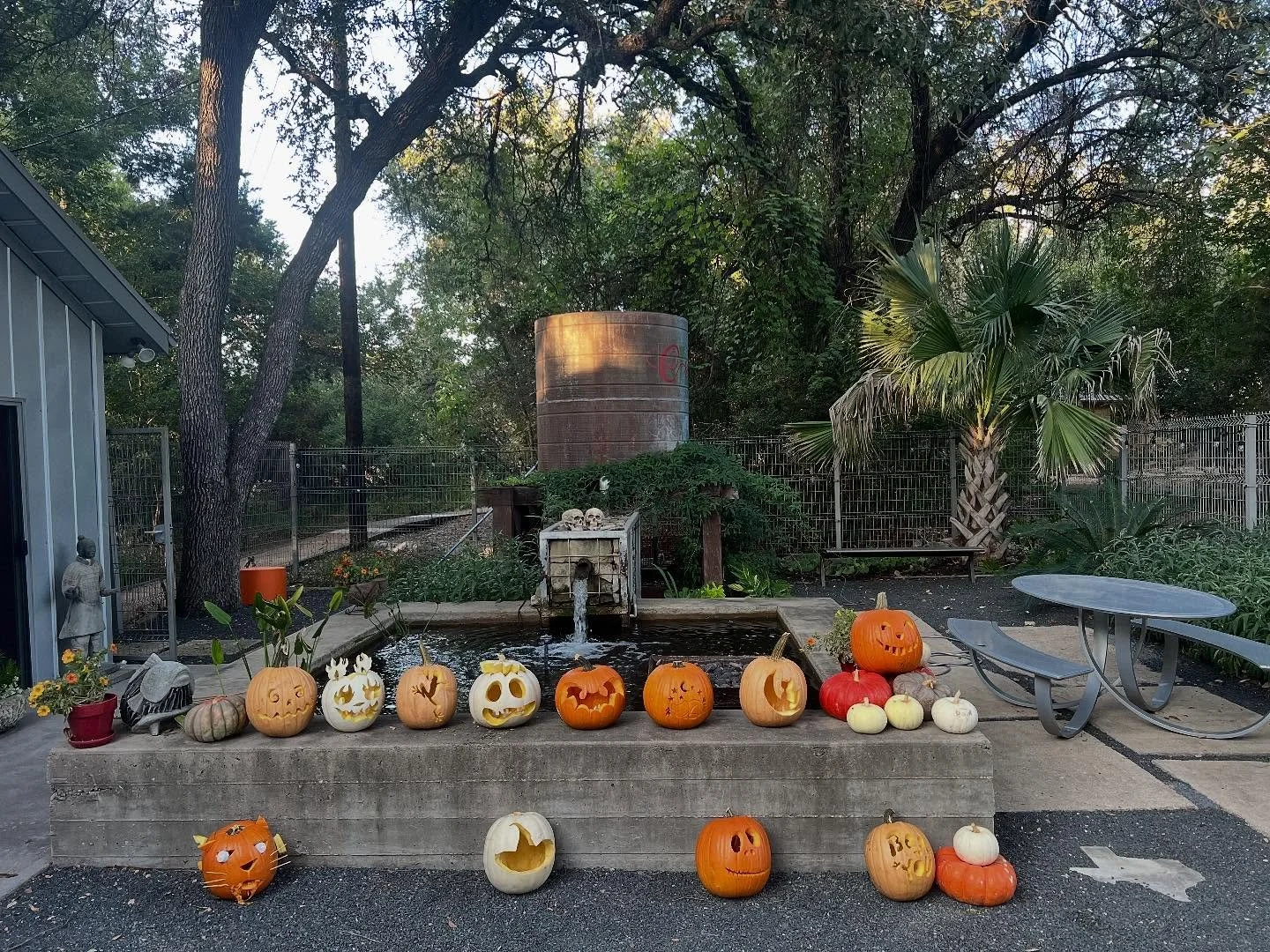 It&rsquo;s spooky season! We had a great time celebrating fall with pumpkin carving, caramel apples, cider mules, pumpkin beer, and Halloweentown at the office today. Now we&rsquo;re just waiting for some cooler weather, Austin! Which pumpkin is your