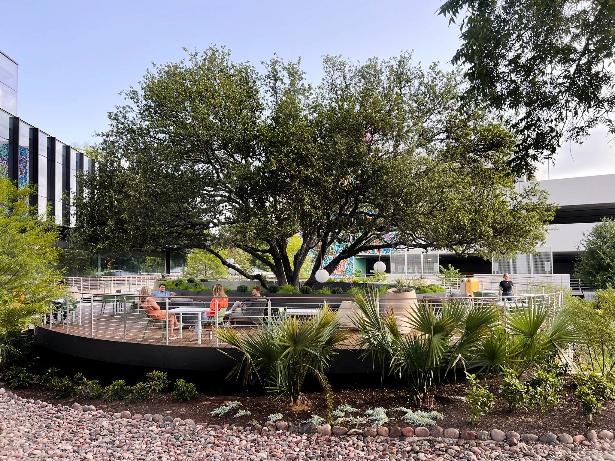 Coleman & Associates Landscape Architecture - Austin