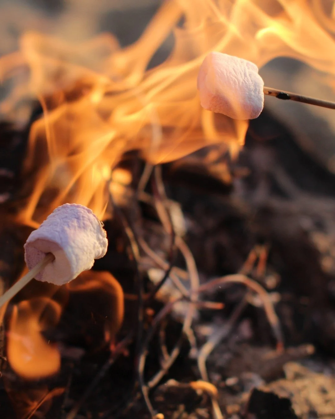 It's back! The Students and Young Adult weekend away is just a few weeks away. Expect fantastic teaching, worship, loads of food, games, swimming, walks in the woods, a muddy ropes course and camp fire 🔥

🗓️ Fri 20 - Sun 22 Mar
🎟️ Book online hrbc