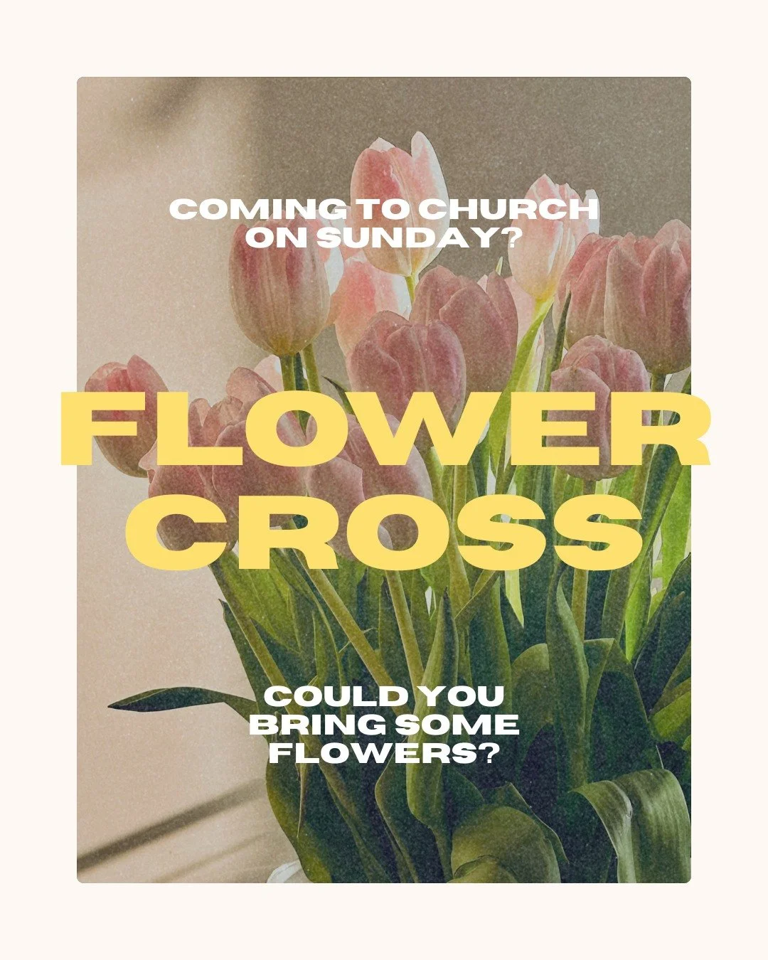 This Sunday is Easter Sunday. Yay!

If you've been on Easter Sunday before, you might remember our flower cross, and if you haven't come and check it out, it's wonderful! If you'd like to take part this year, bring along some flowers and add them to 