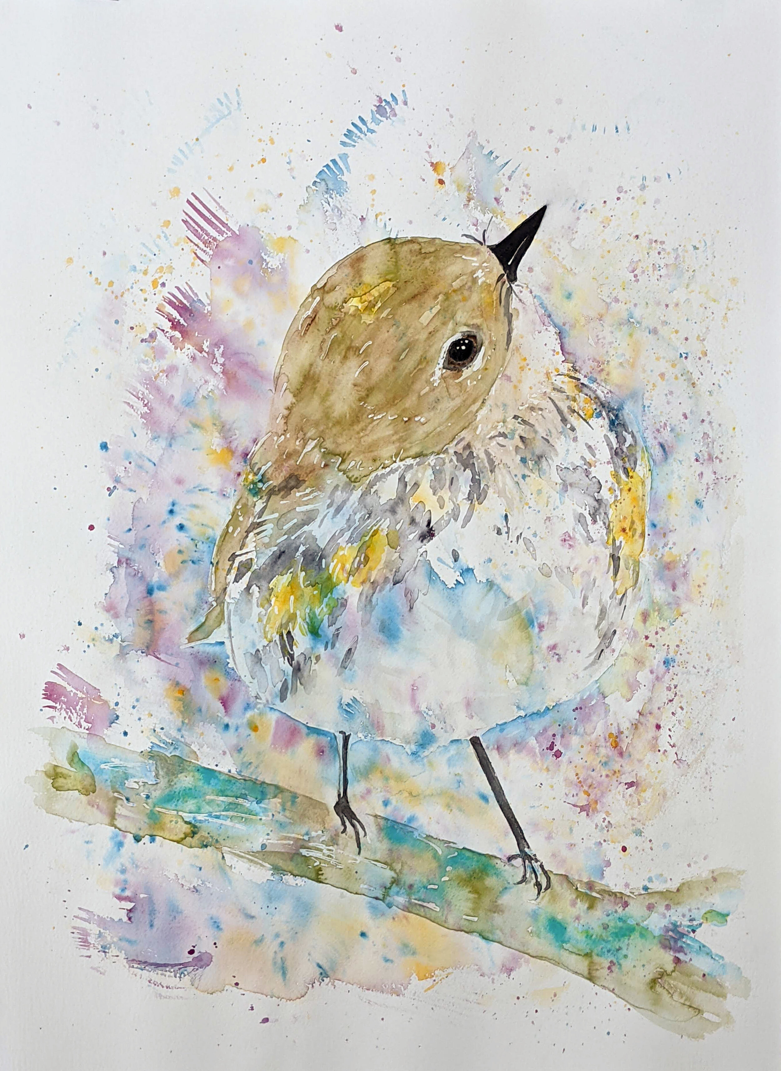 Curious Bird