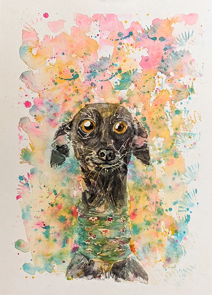 Bright-eyed Pup