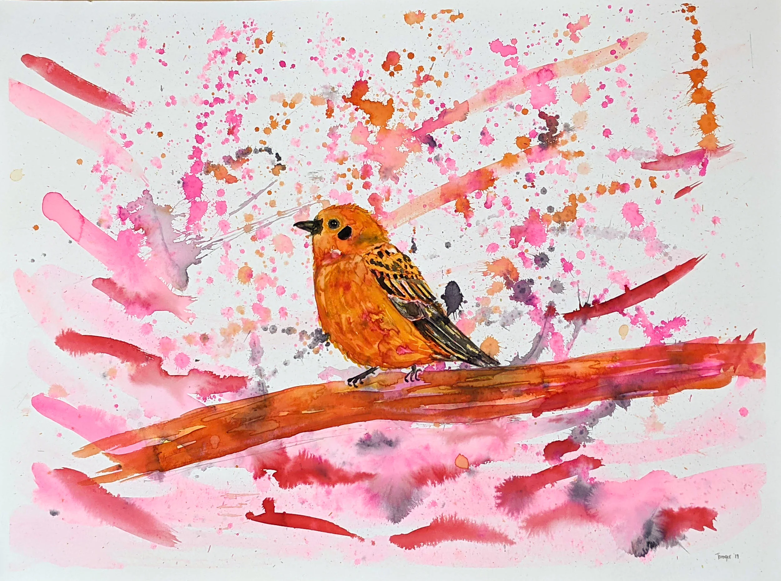 Tanager
