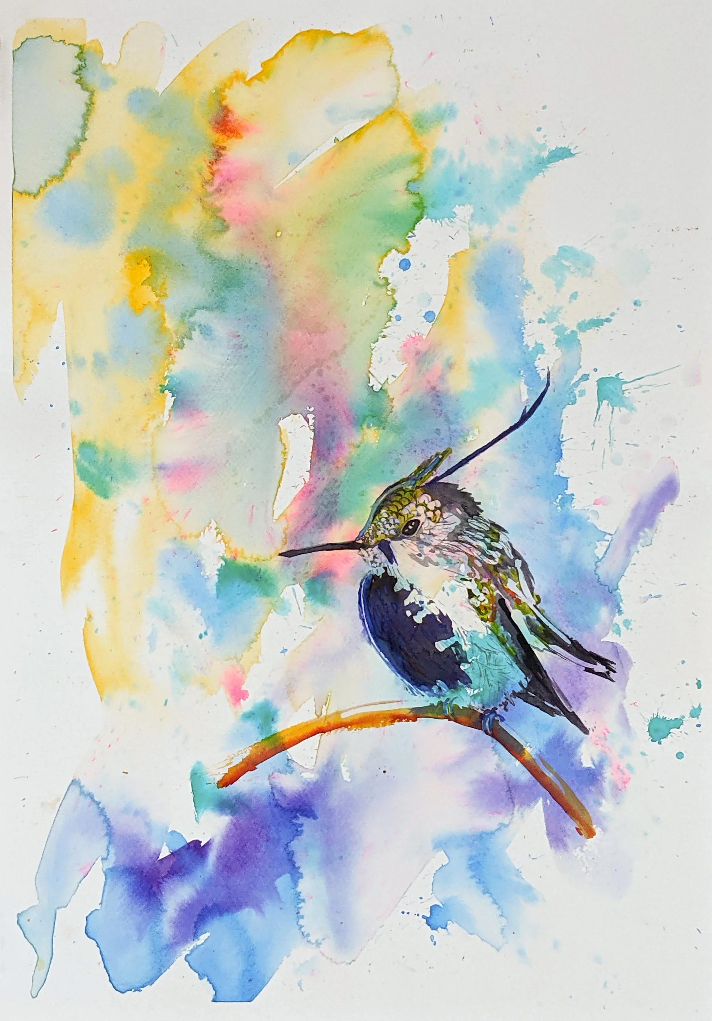 Suspicious Hummingbird