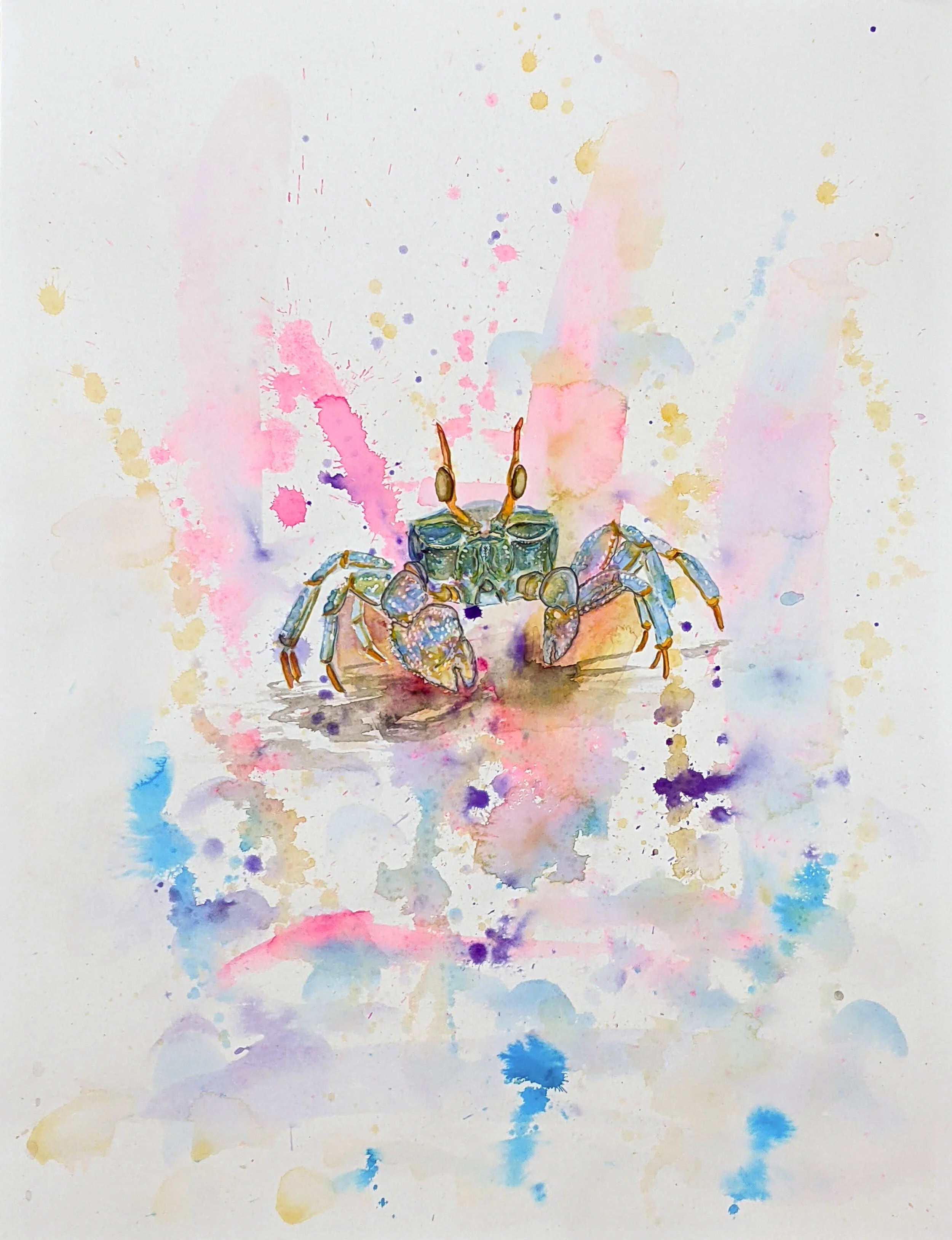 Blue Crab