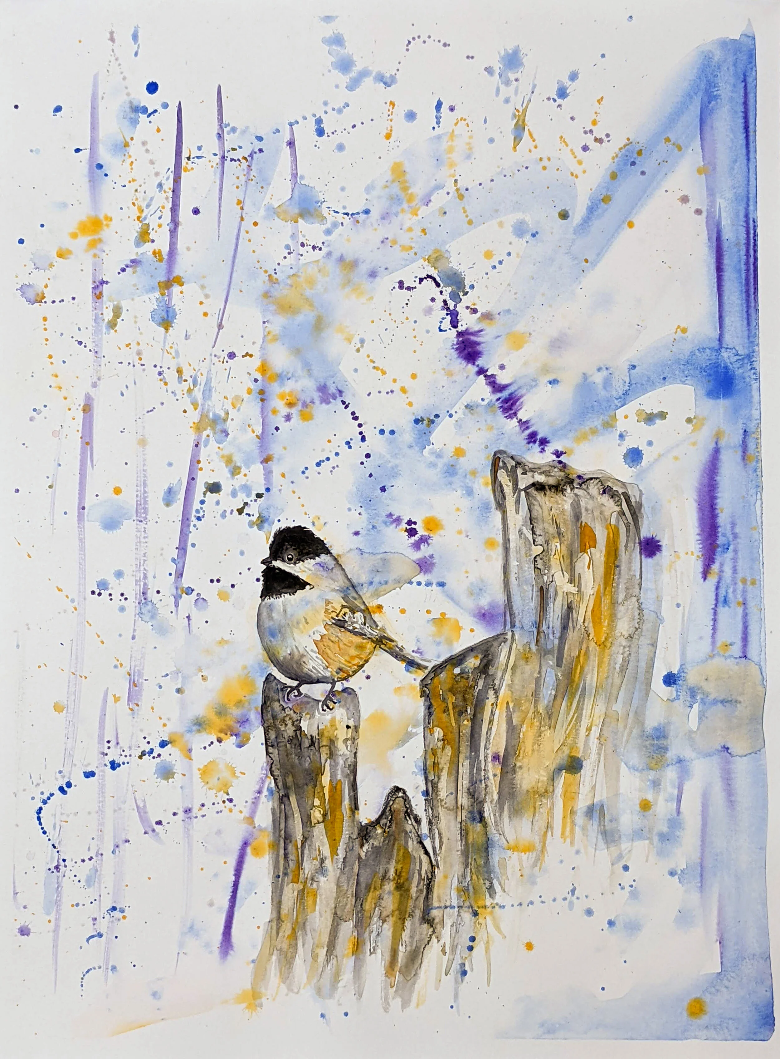 Hopeful Chickadee
