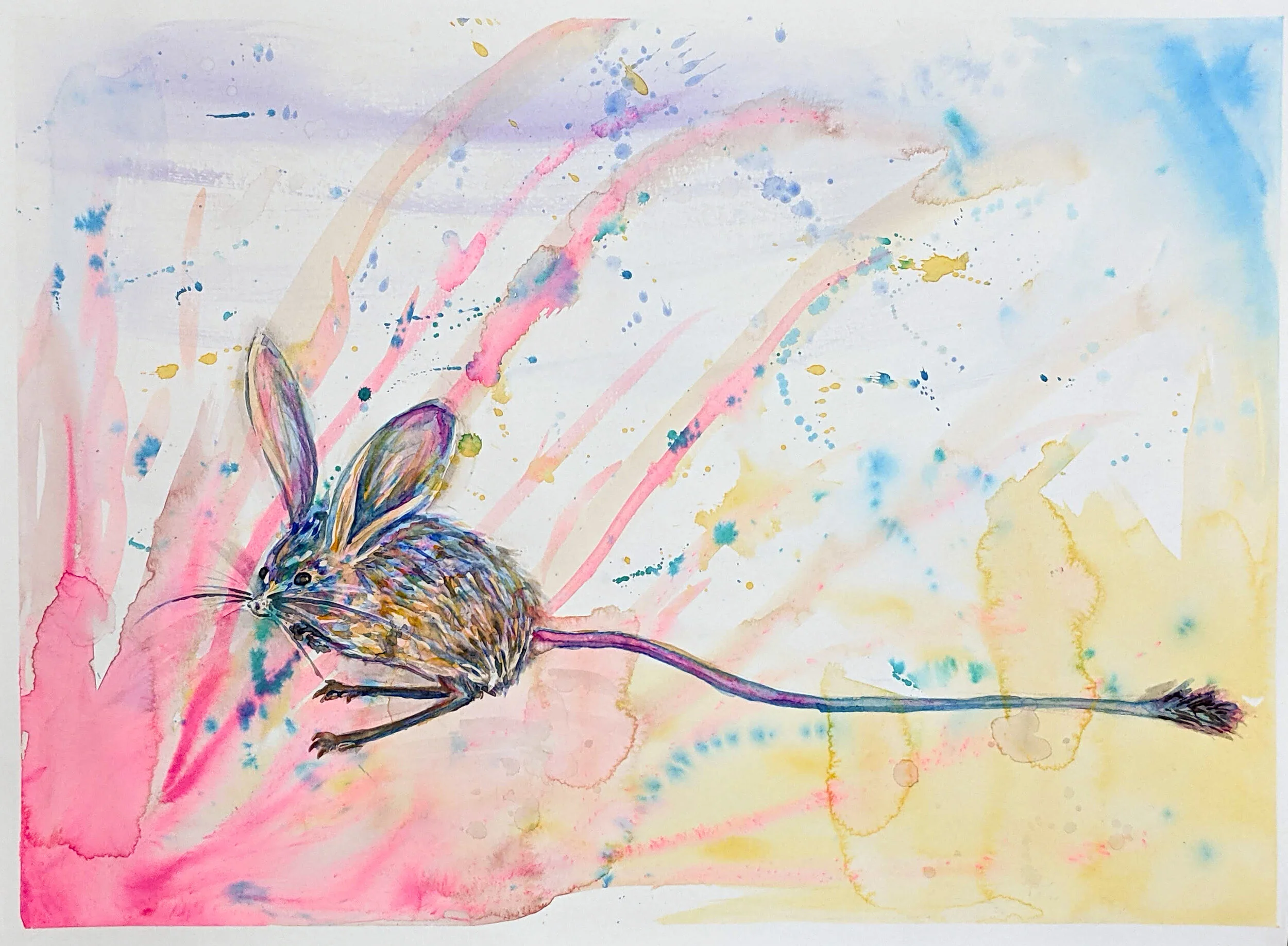 Jerboa in Rainbow