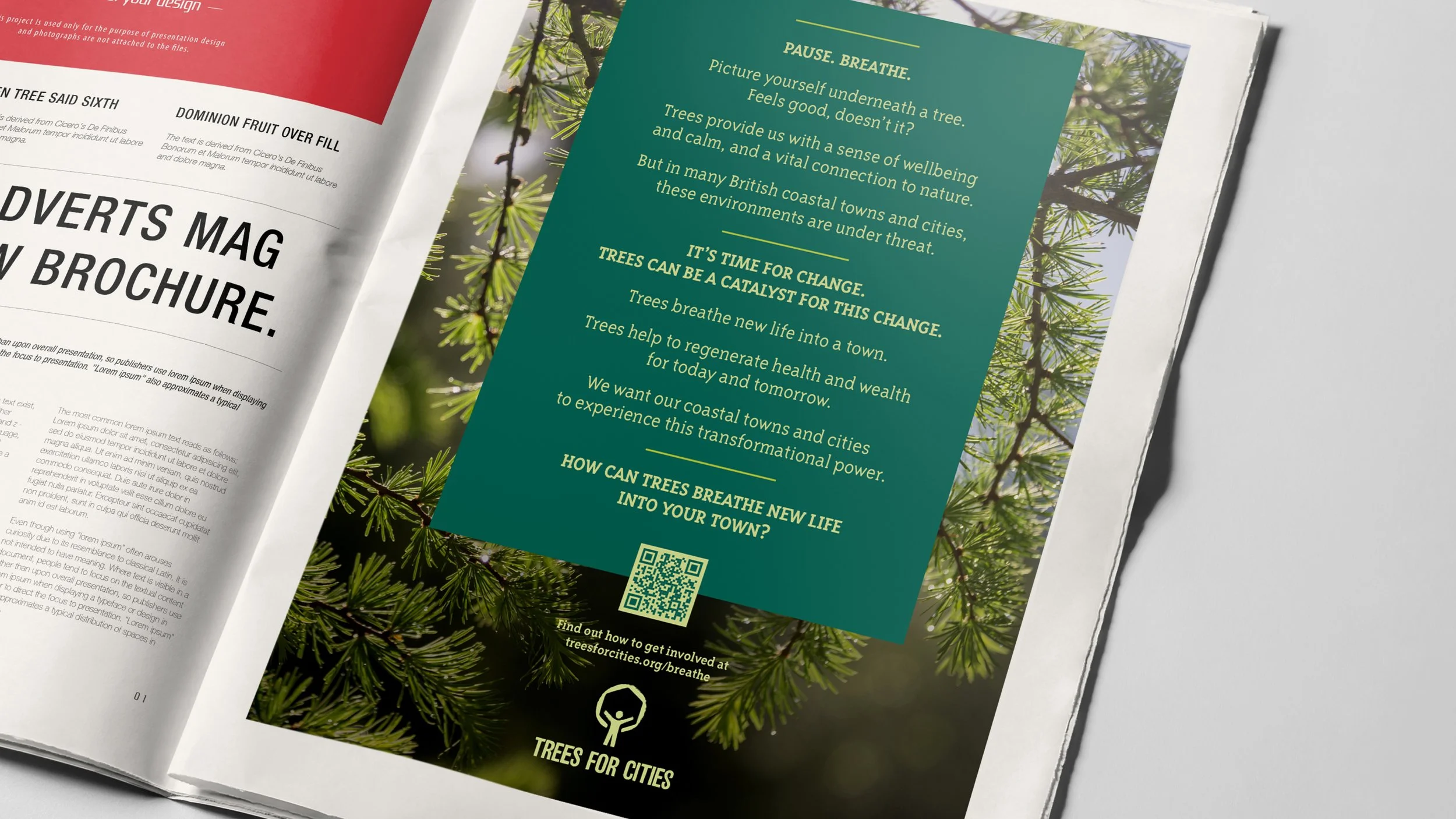 05_Trees_For_Cities_Web21.jpg
