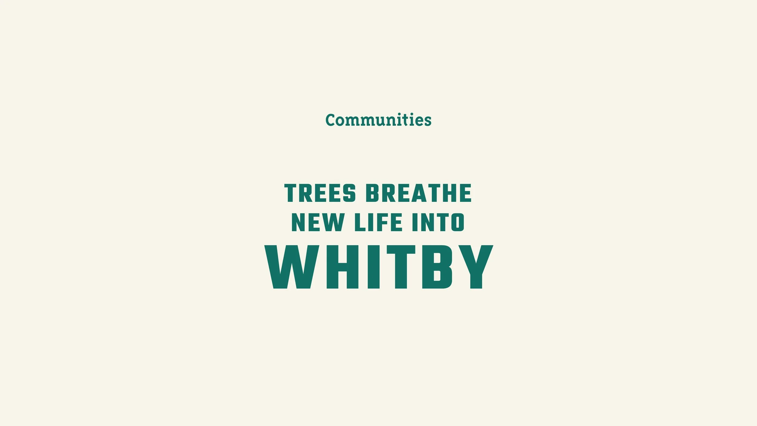 05_Trees_For_Cities_Message_Carousel18.jpg