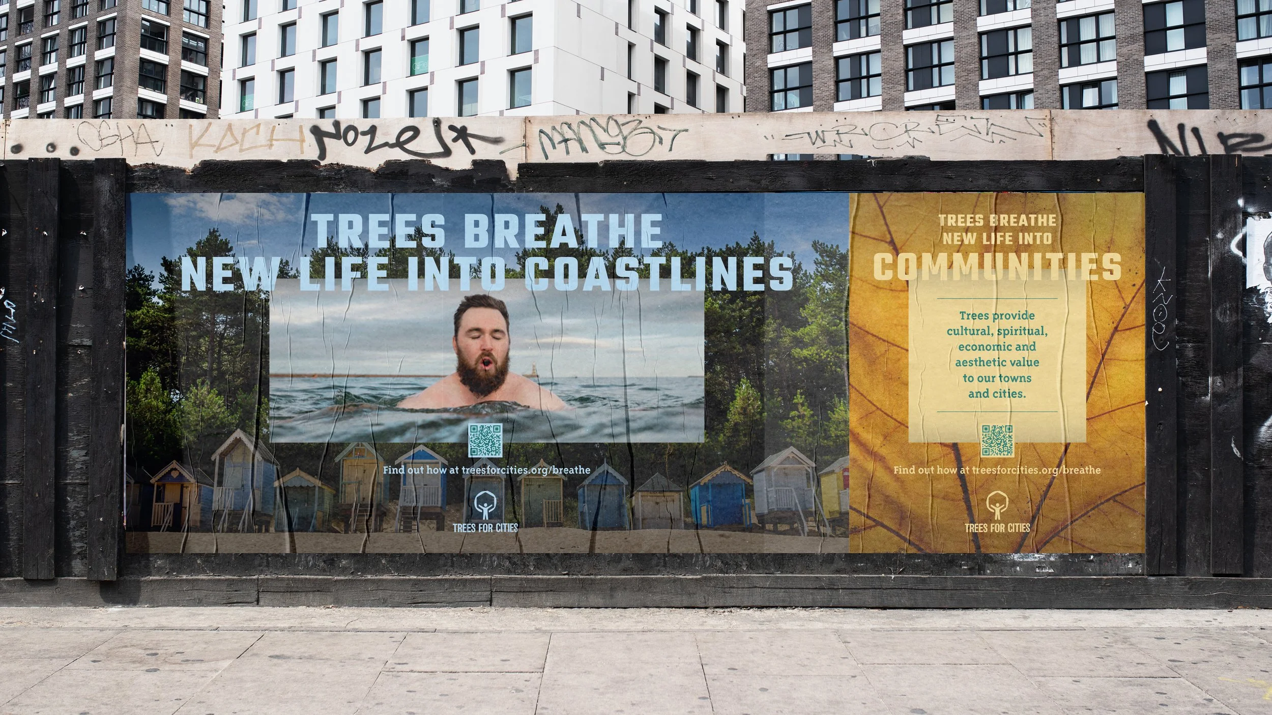 Trees_For_Cities_16x9-L_CS image_2.jpg