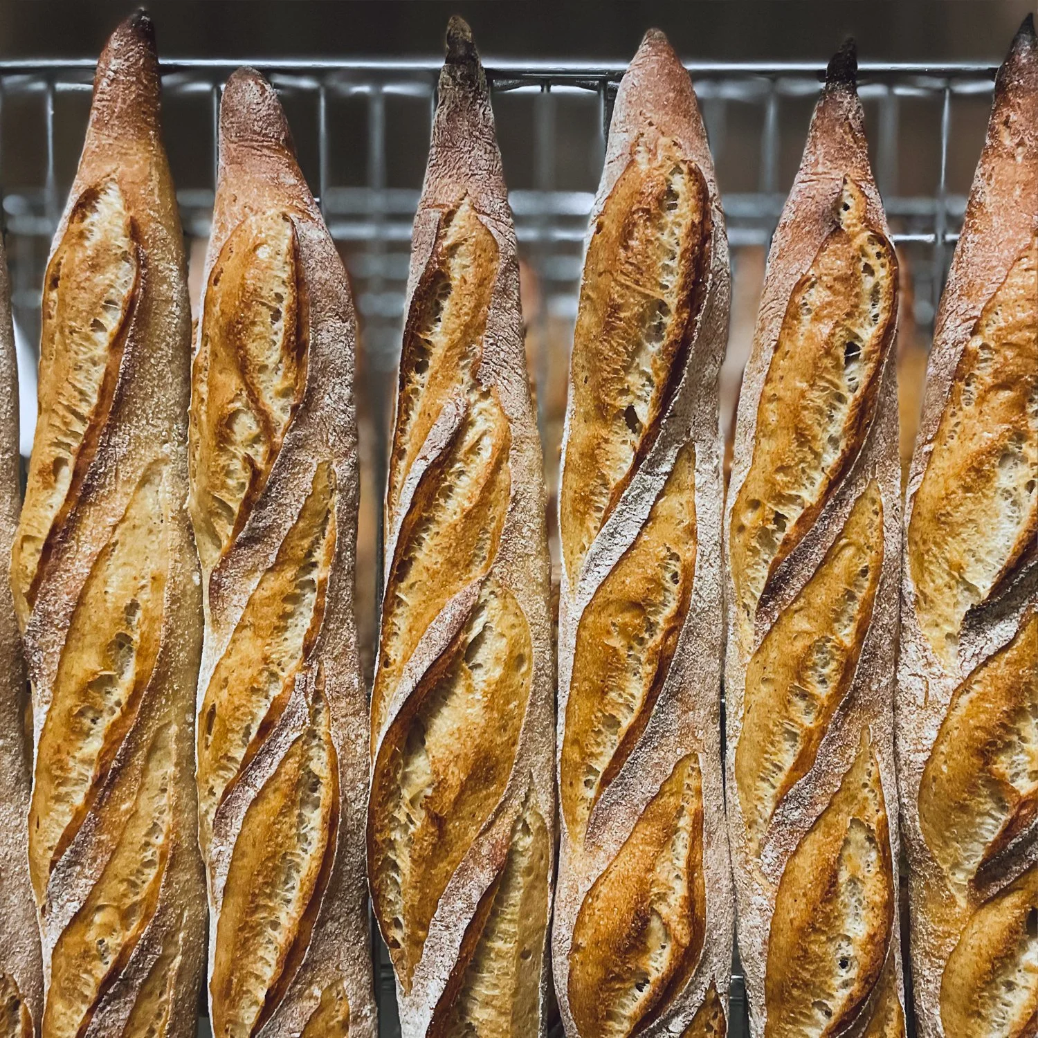 Fresh Baguette