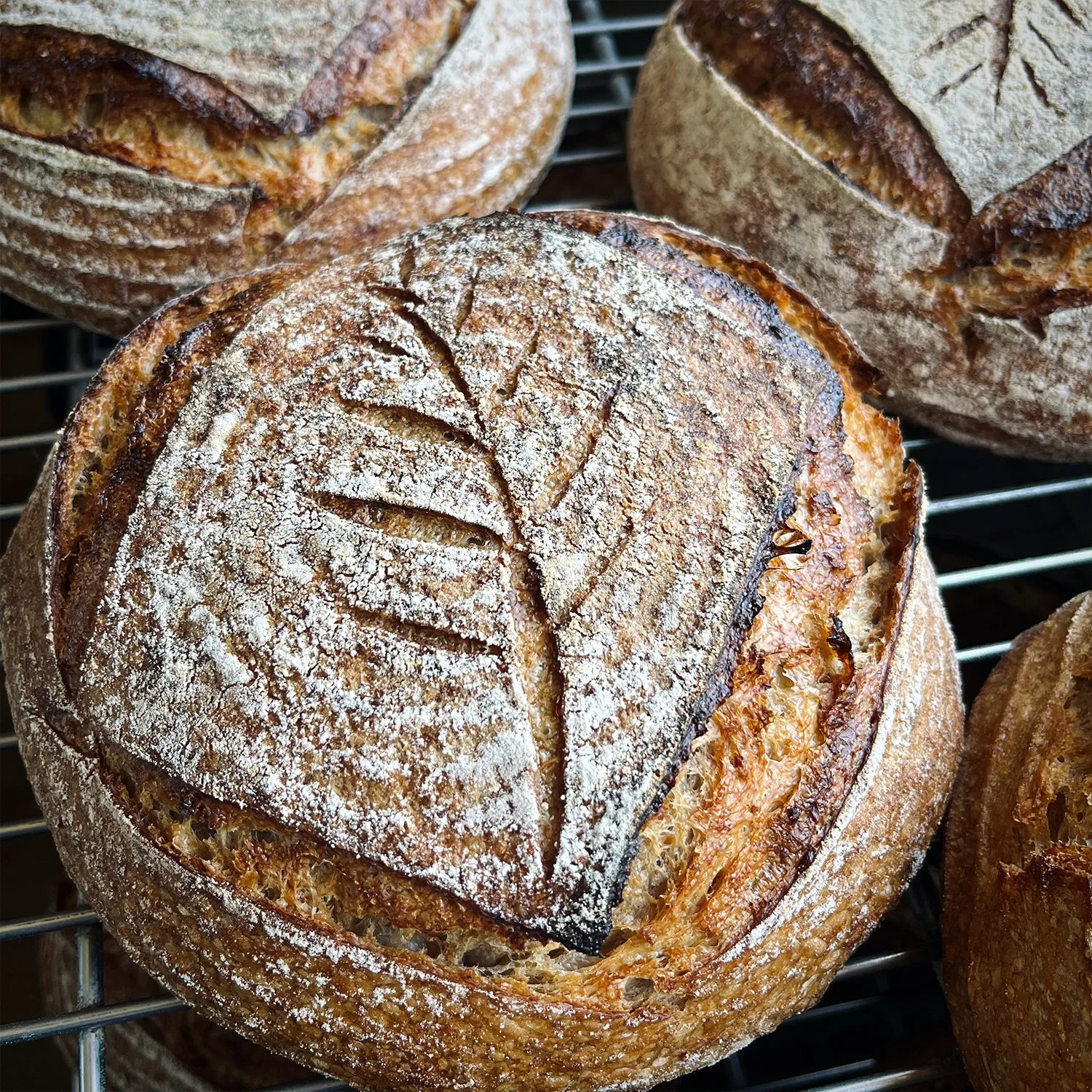 Einkorn Loaf