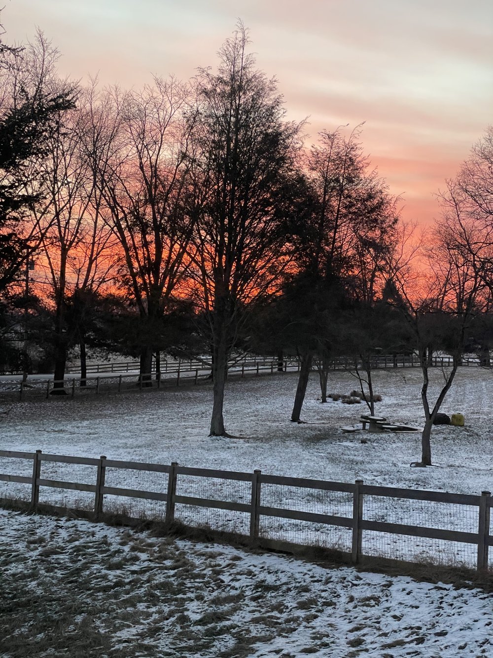 thumbnail_4. winter sunrise across our side yard.jpg
