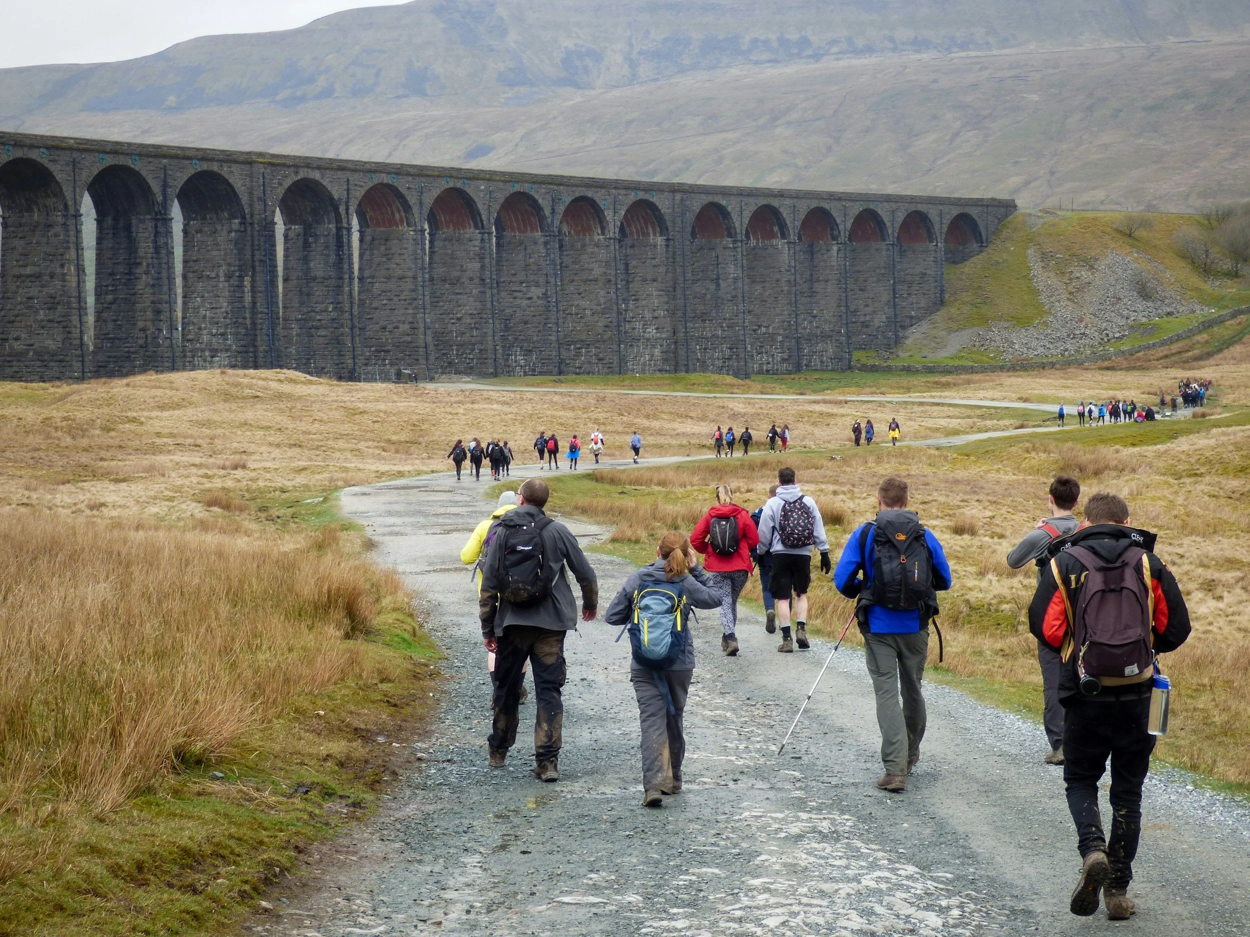 hikers walking towards ribbleshead viaduct on the yorkshire three peaks challenge