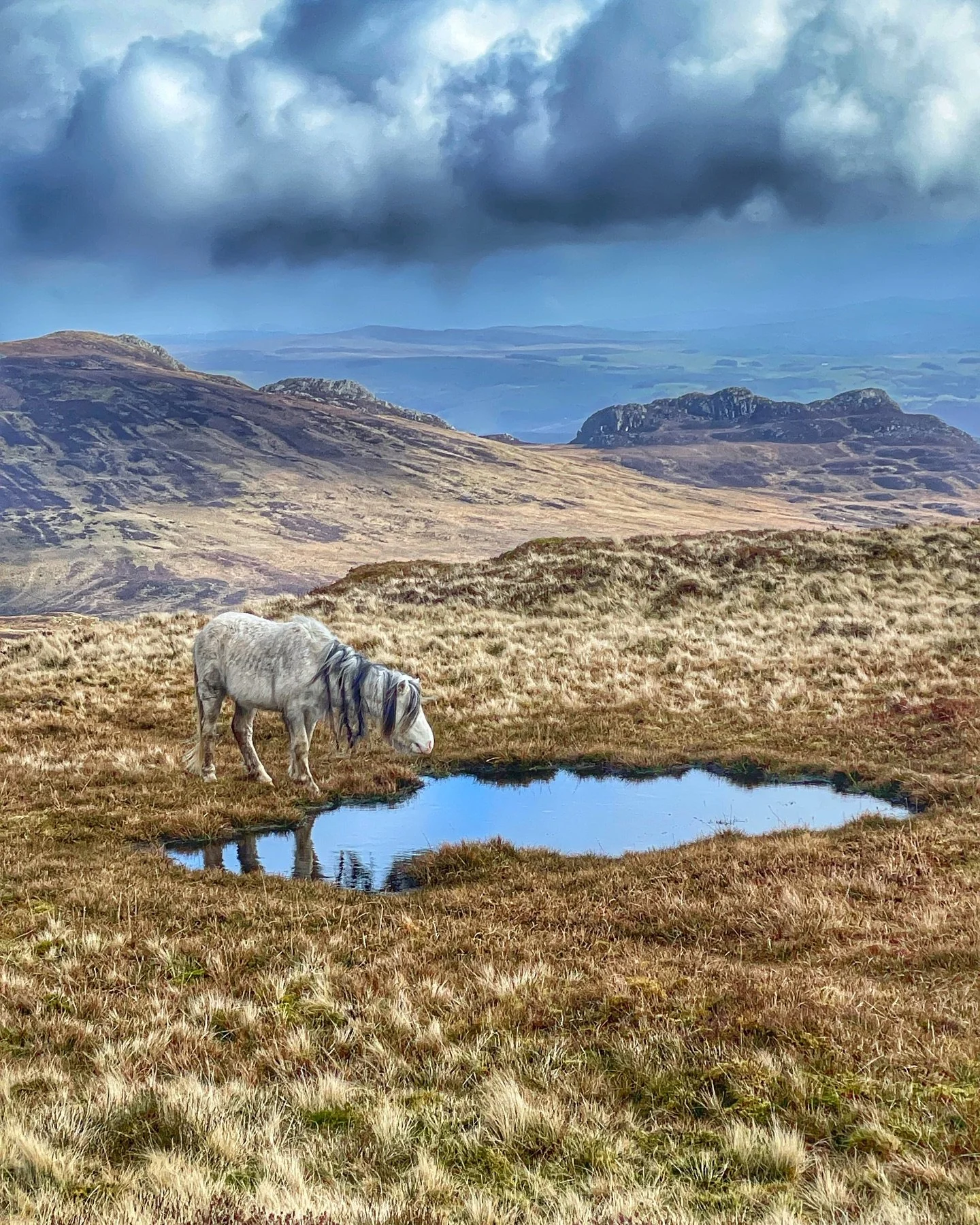 Vast, wild, and steeped in ancient history&mdash;the Carneddau Mountains are an adventure like no other. 🏔️✨ 

📊 Carneddau by the Numbers:
- **Carnedd Llewelyn** &ndash; 1,064m (3,491ft), the highest peak in the range. 
- Carnedd Dafydd &ndash; 1,0