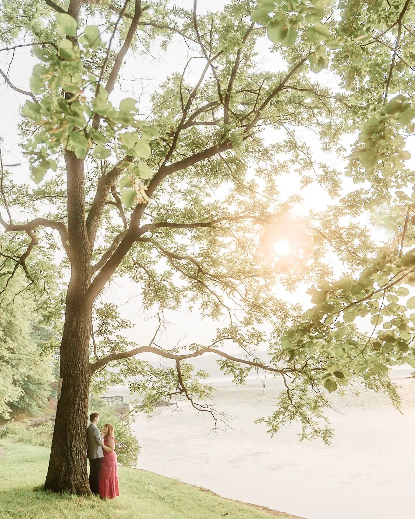 I didn't know it'd be possible to fall in love with a tree, but here we are 😍

#newyorkweddingphotographer #nyweddingphotographer #publishedweddingphotographer #hudsonvalleywedding #hvweddingphotographer #luxuryweddingphotographer #ctweddingphotogra